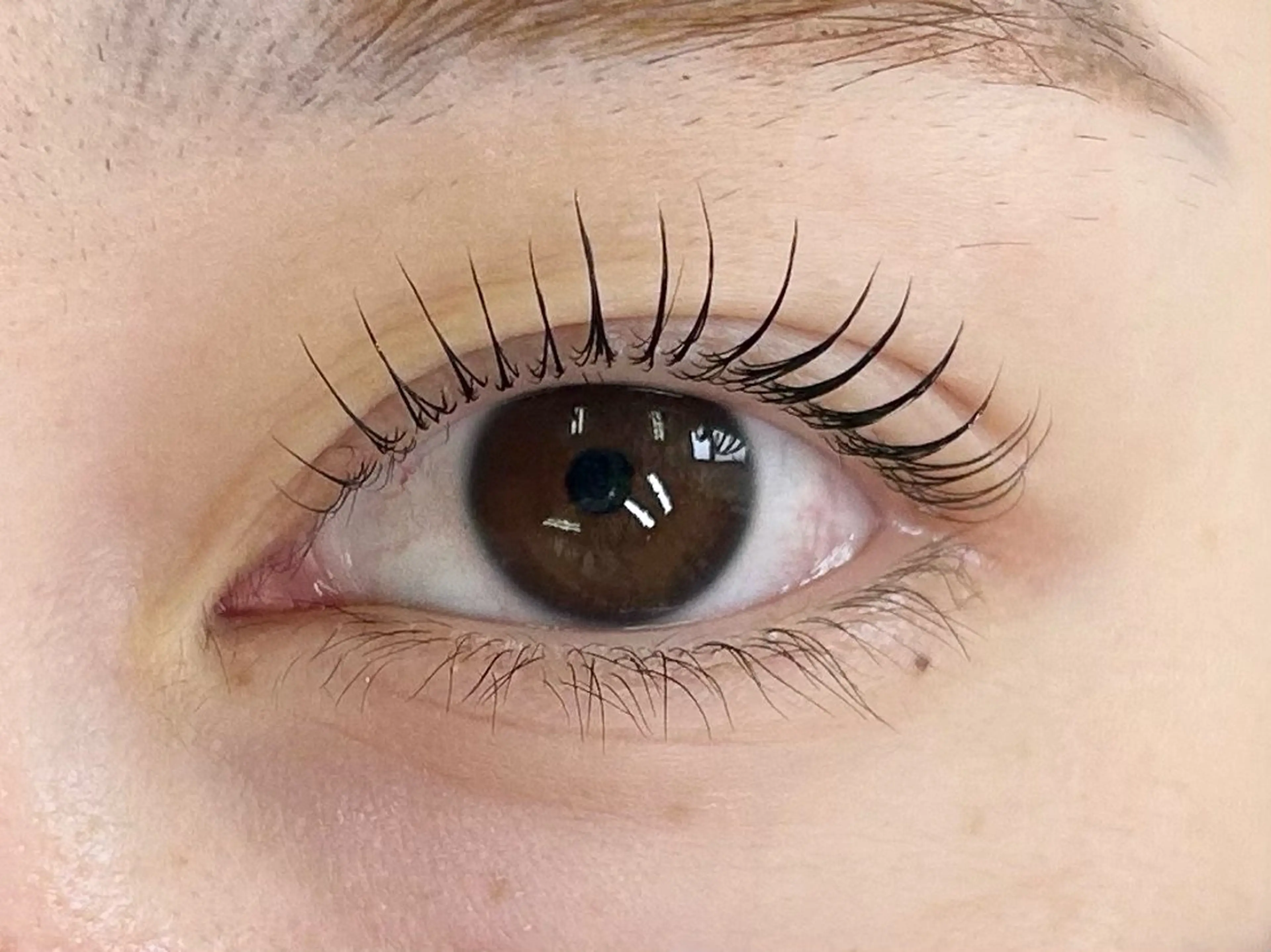 似合わせまつげパーマ🦋の写真