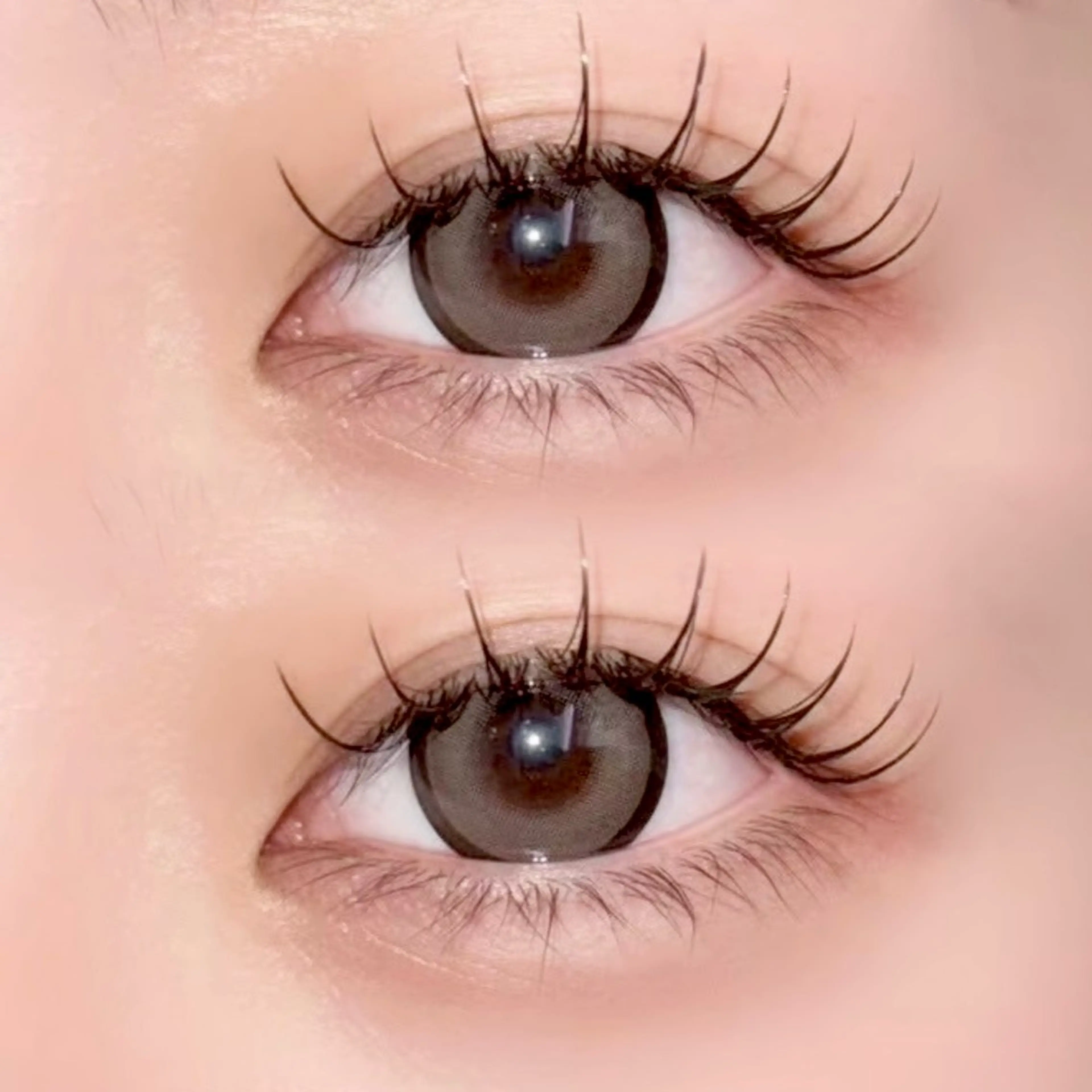 🎀1日限定3名様🎀フラットラッシュ120本➕高級コーティング付きの写真