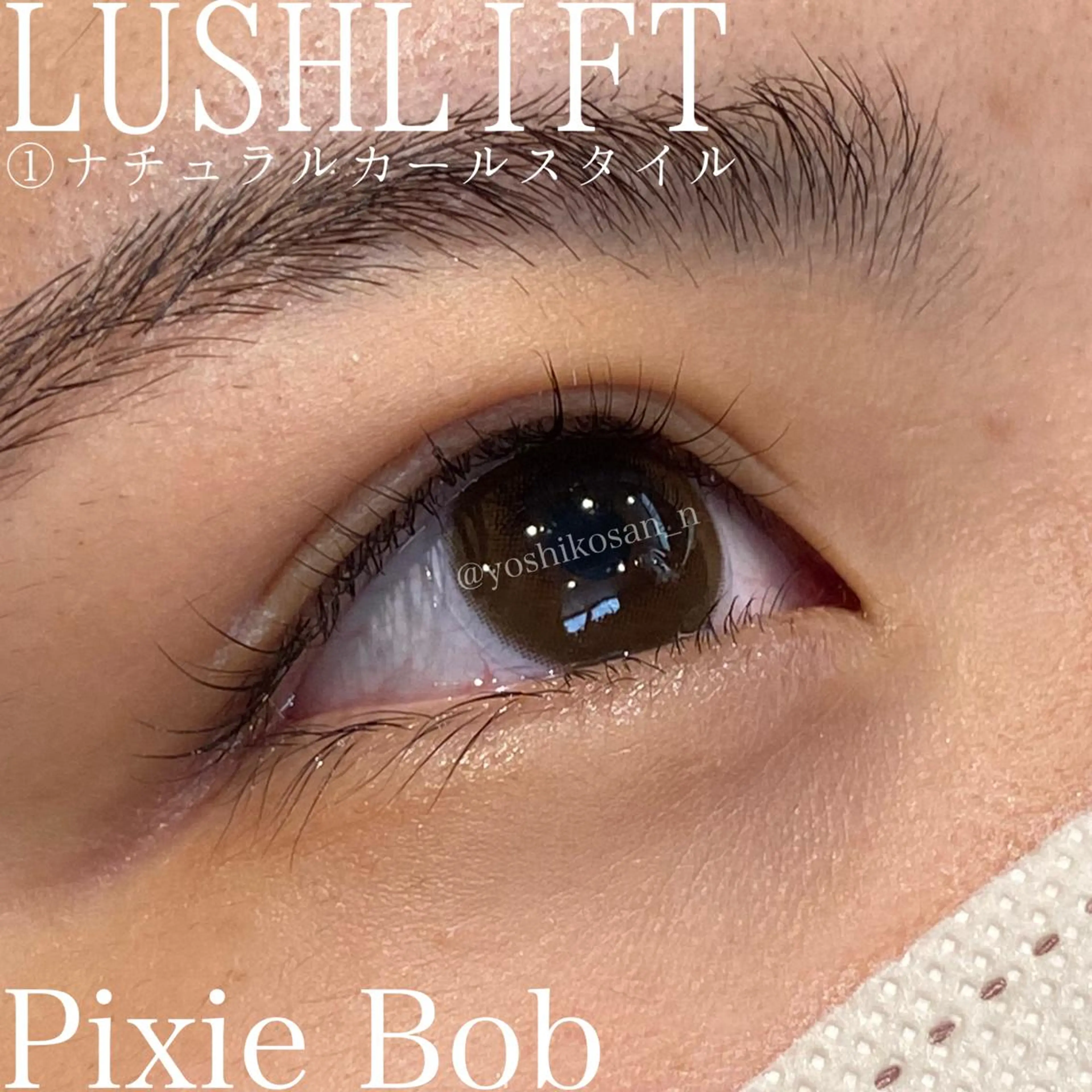 マツエク・マツパ ナチュラル Pixie Bob 🐈‍⬛　位田のマツエク・マツパデザイン