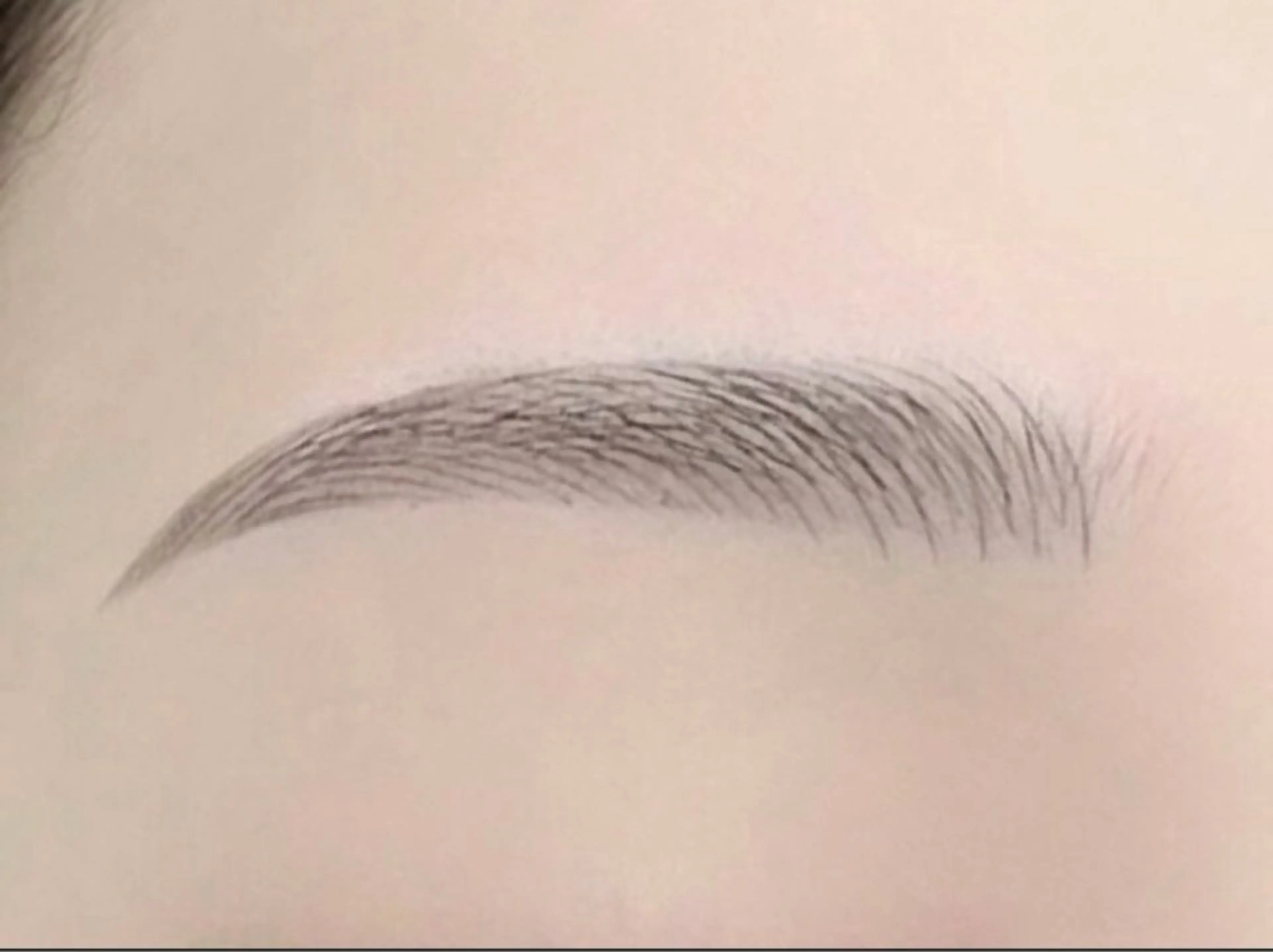 【モデル価格】眉毛スタイリング（アイブロウWAX）の写真