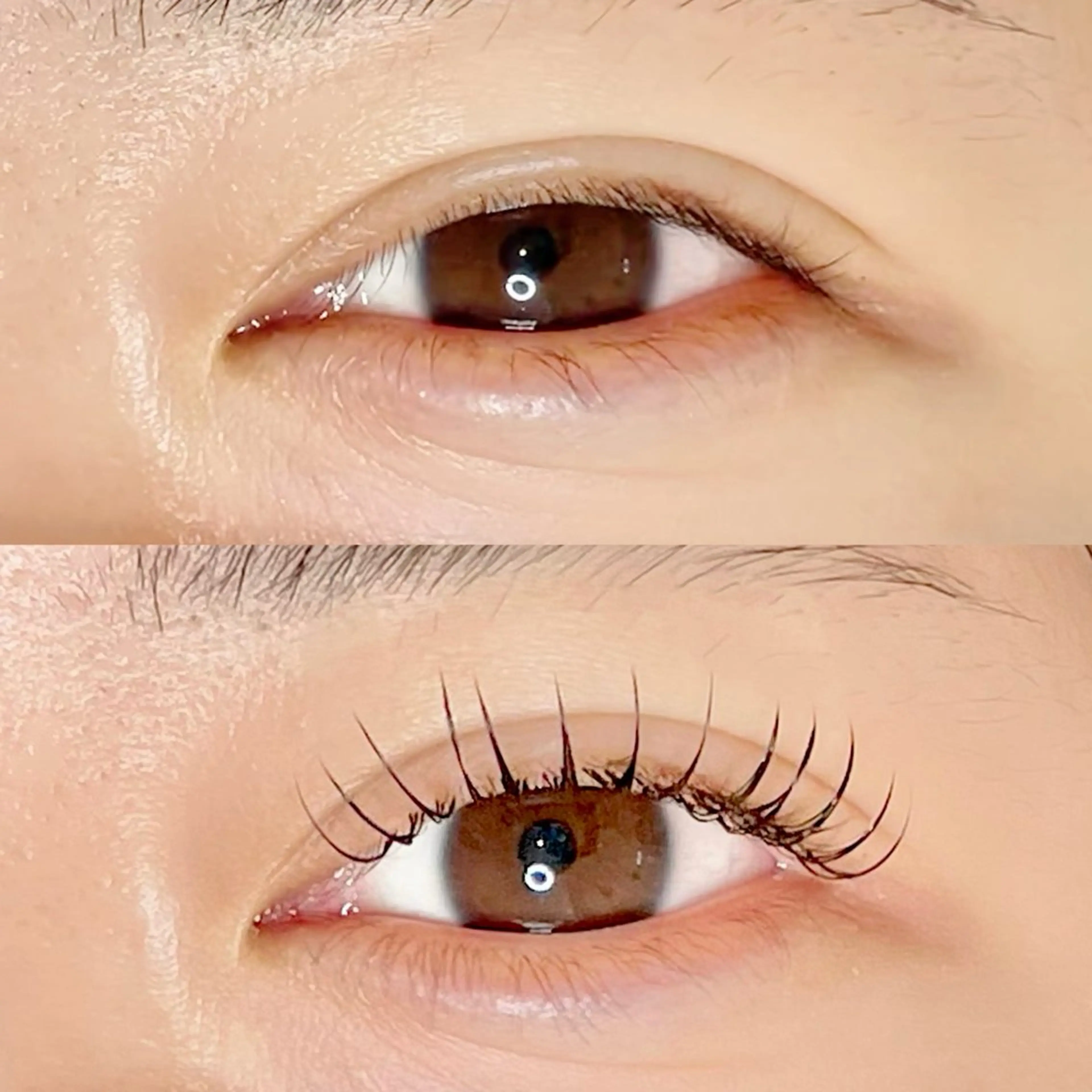 マツエク・マツパ マツエク AYLASH🧡 猪又のマツエク・マツパデザイン