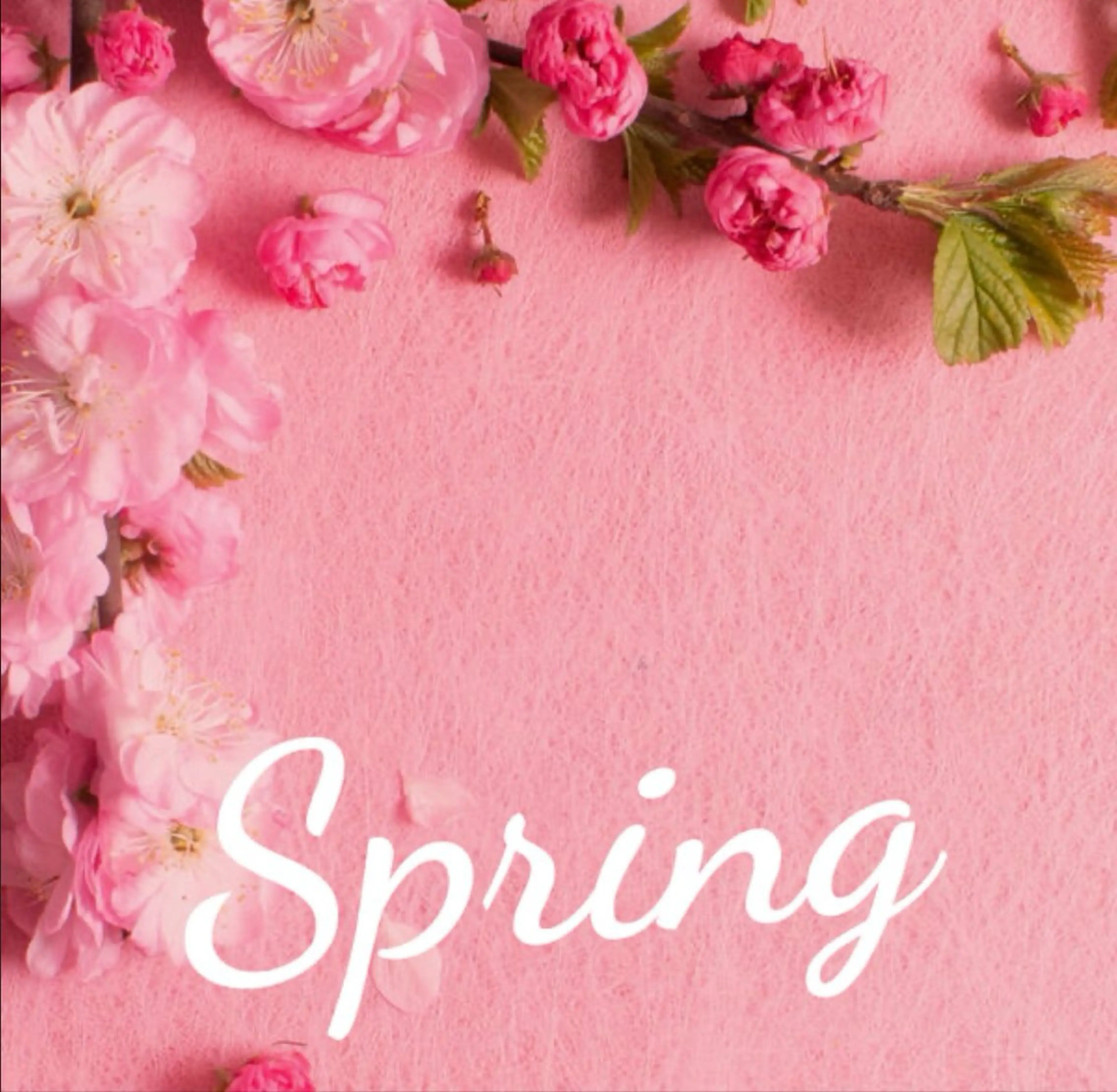 マツエク・マツパ eyelash salon デザイニング アイ所属・Designing eyeのマツエク・マツパデザイン