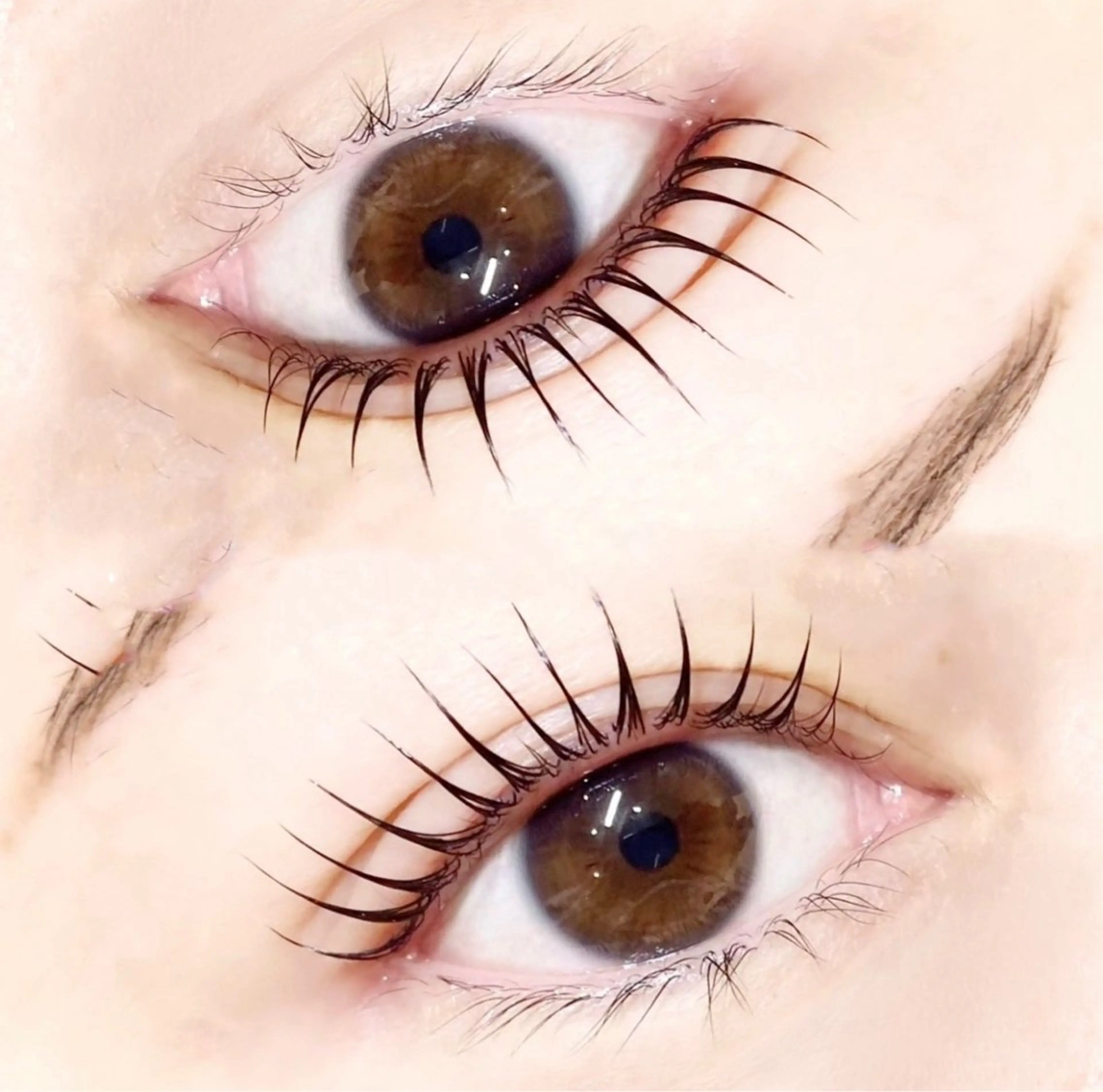 本日🈳あり‼︎🩵当日限定🩵まつげパーマ👀の写真