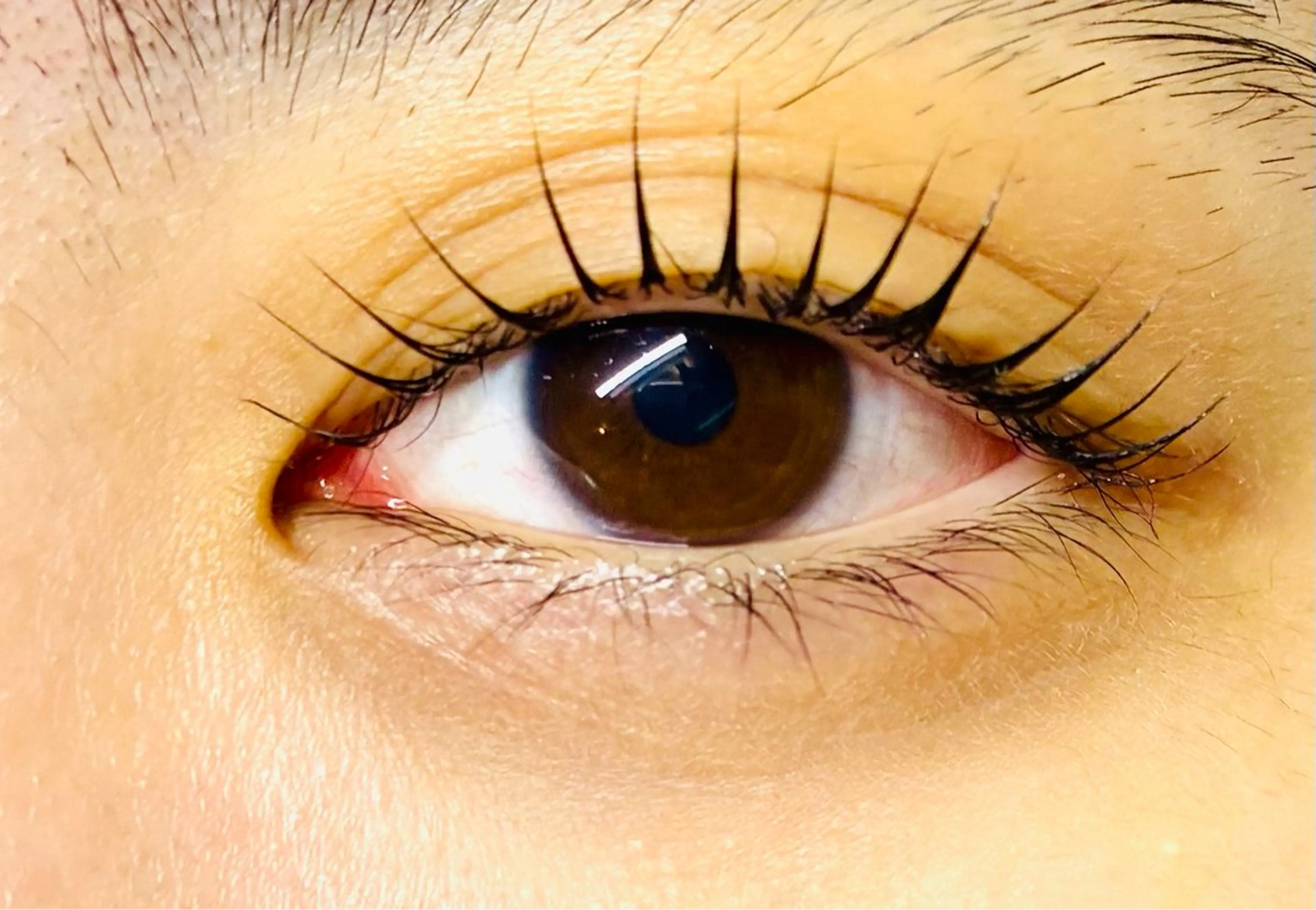 マツエク・マツパ まつげパーマ salonSANA. サロンサナのマツエク・マツパデザイン