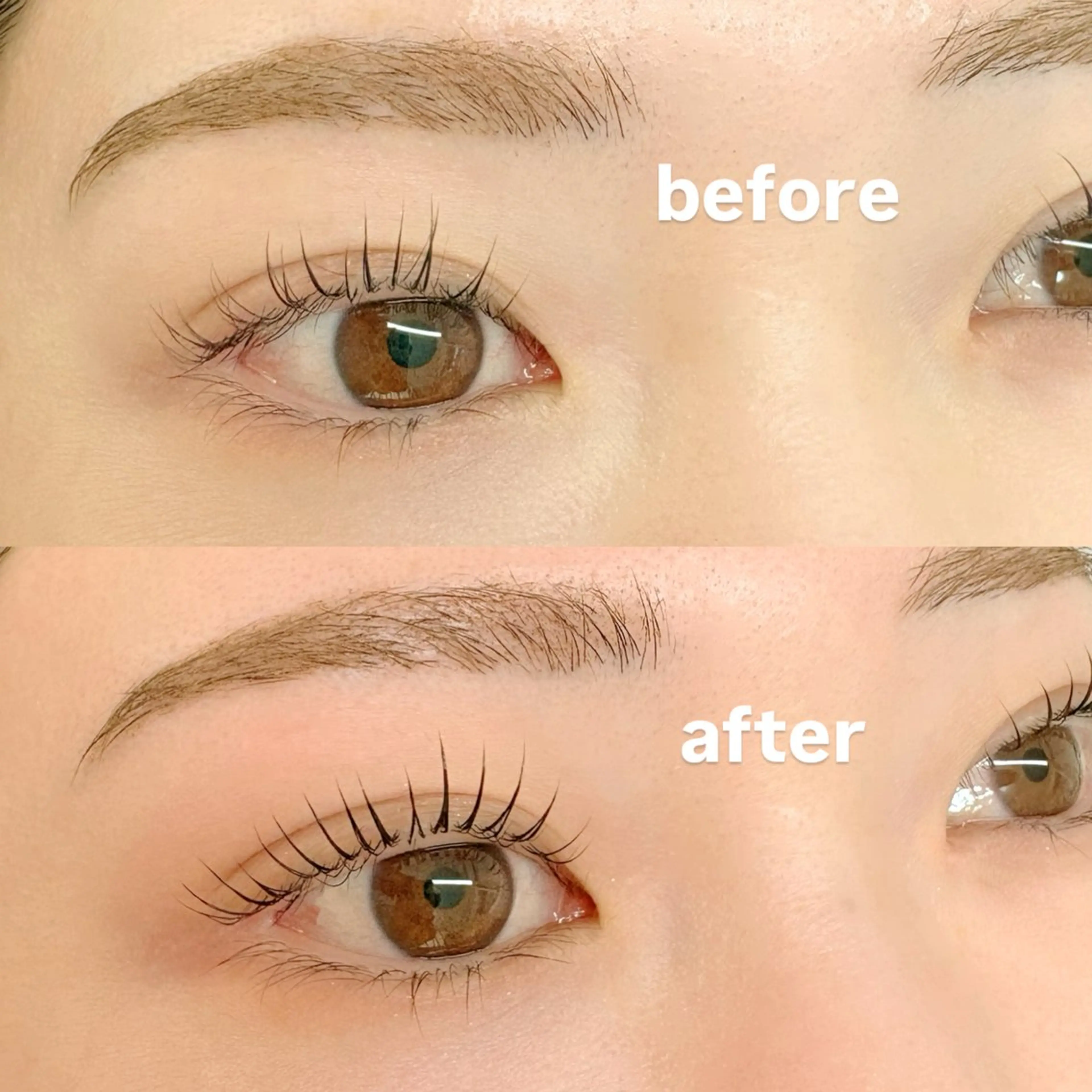 マツエク・マツパ カラーマツエク フラットラッシュ 韓国風マツエク パリジェンヌラッシュリフト まつげパーマ knoman【ノマン】所属・knoman ノマン まつパ/マツエクのマツエク・マツパデザイン