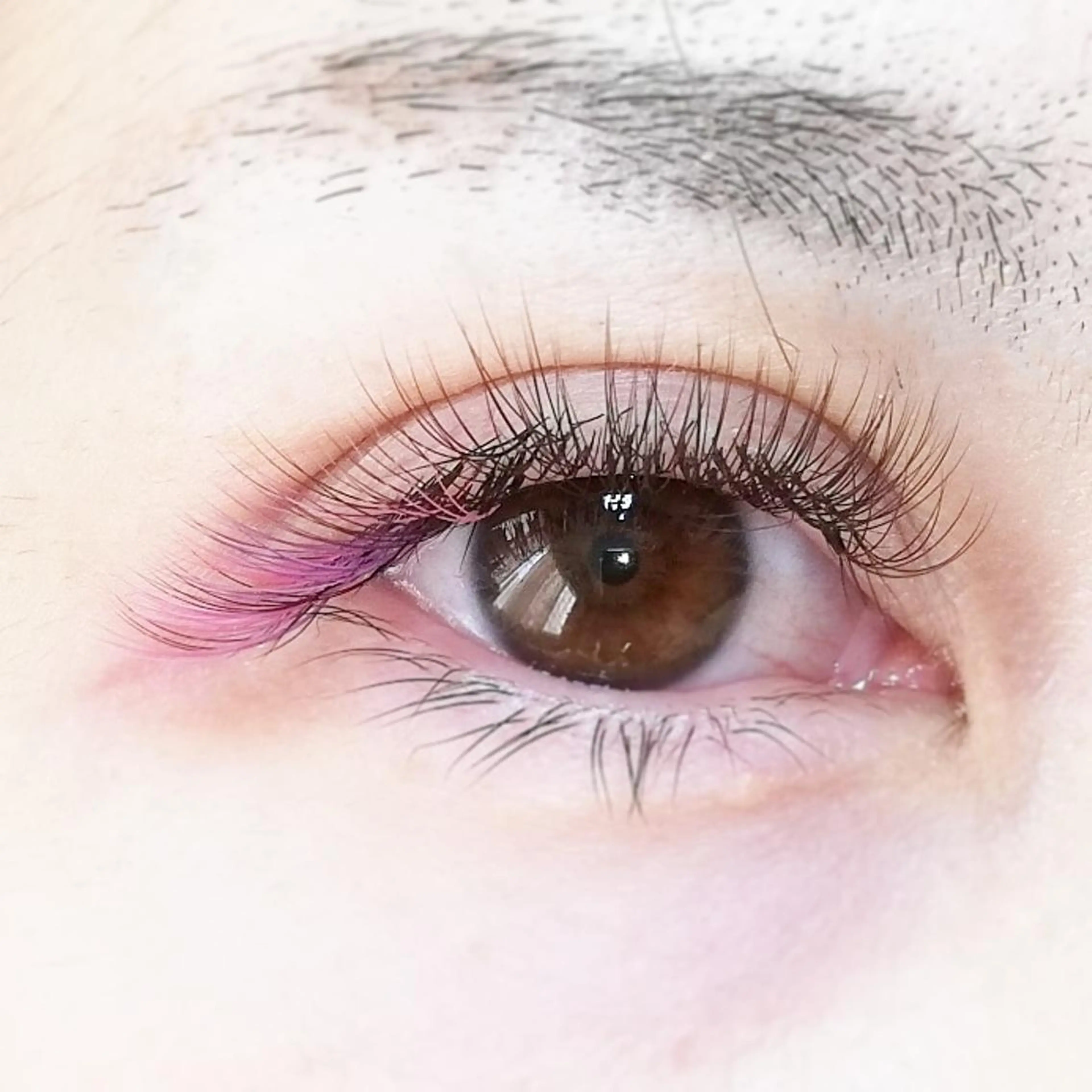 マツエク・マツパ ボリュームラッシュ LATTE eyelashのマツエク・マツパデザイン