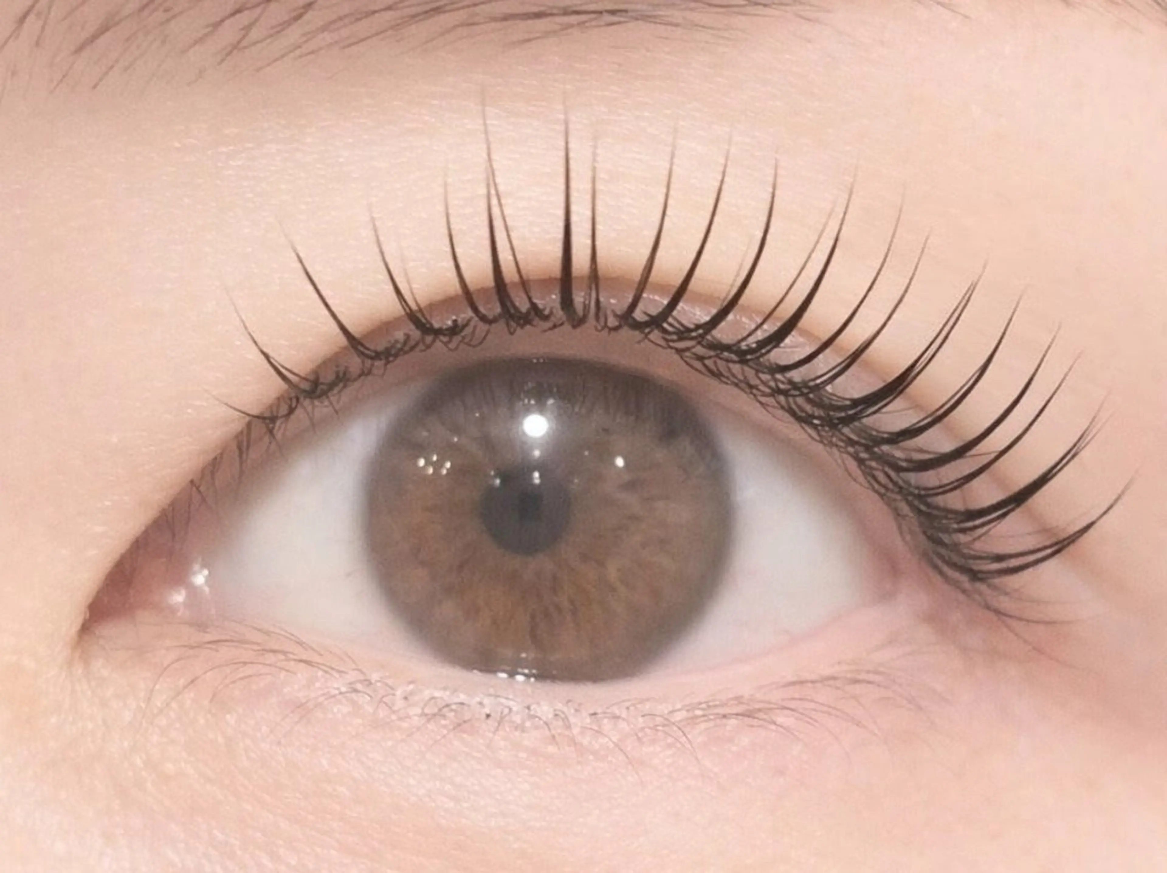 ☆当日限定☆極柔フラットラッシュ100本の写真