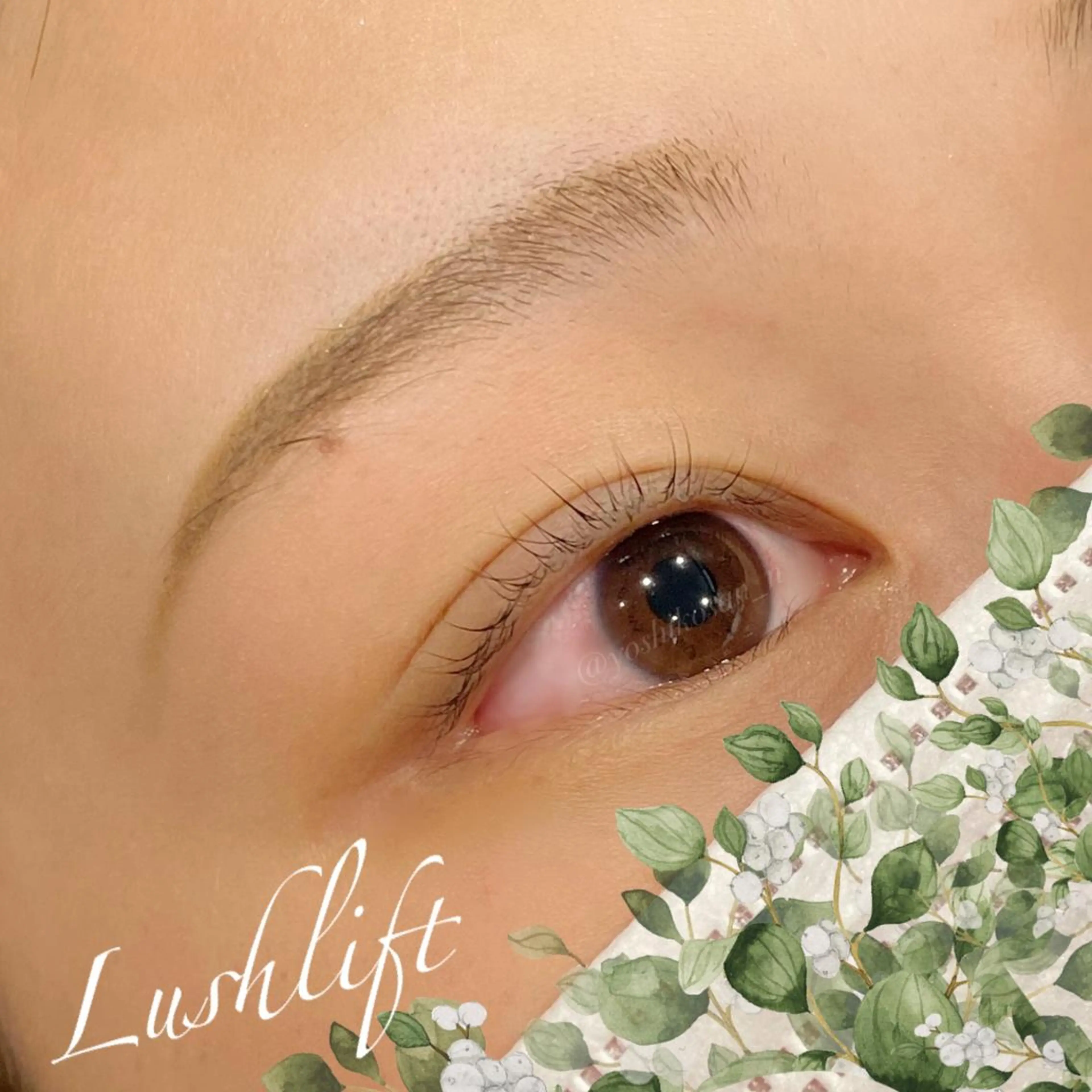 マツエク・マツパ Pixie Bob 🐈‍⬛　位田のマツエク・マツパデザイン