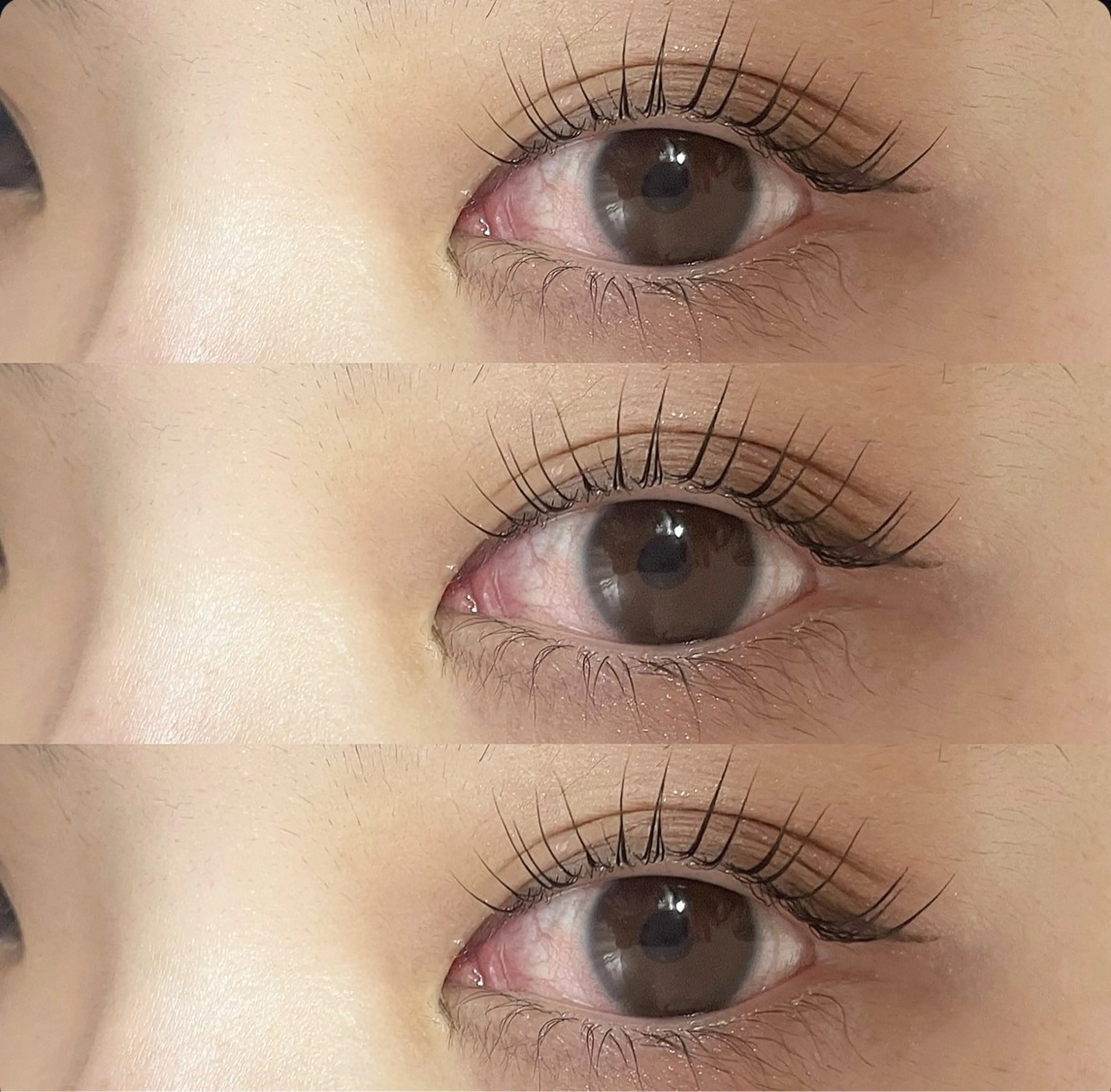 【アイシャンプー付き】パリジェンヌ上のみ🌱の写真