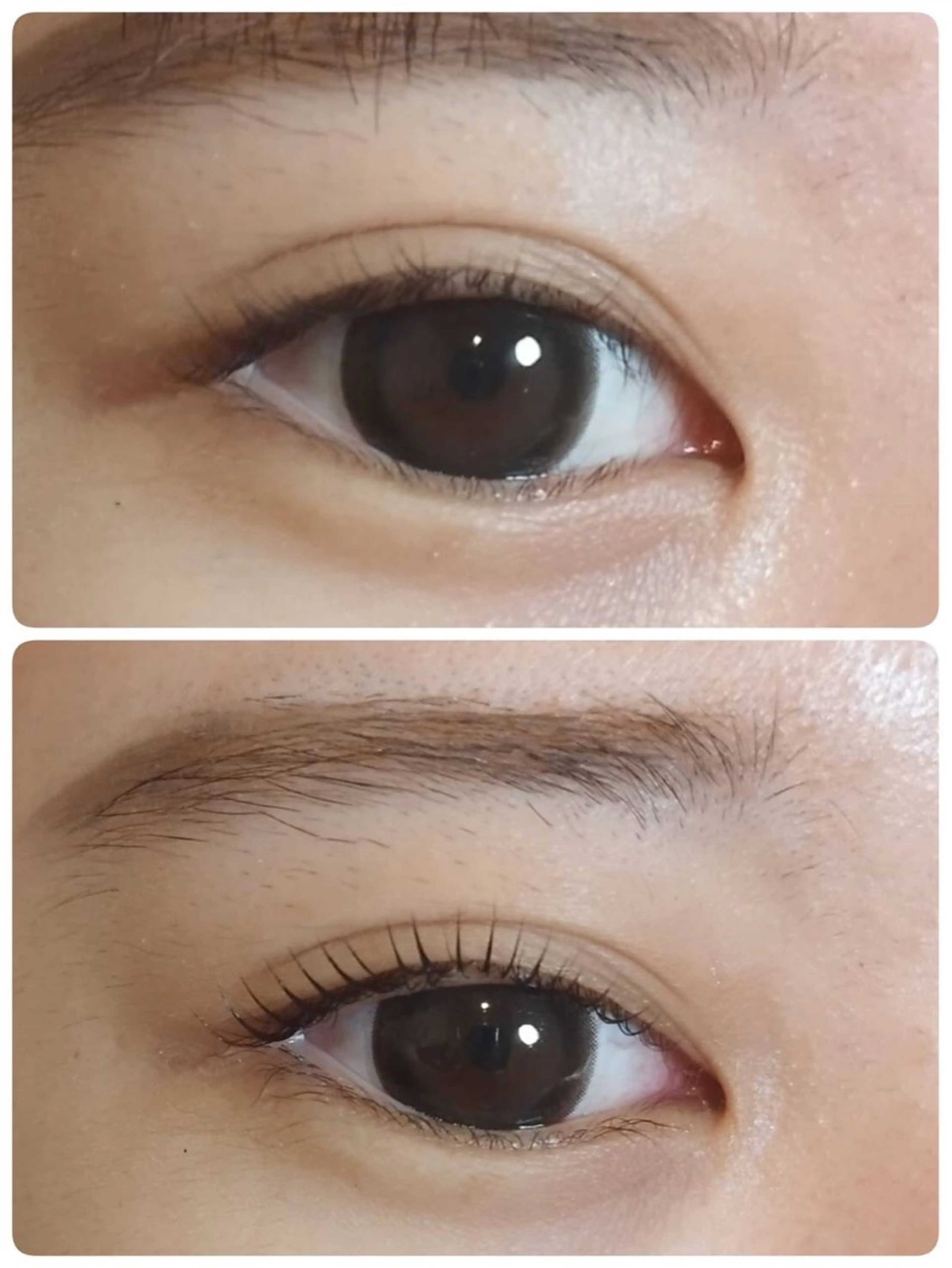 マツエク・マツパ u’i アイリストのマツエク・マツパデザイン