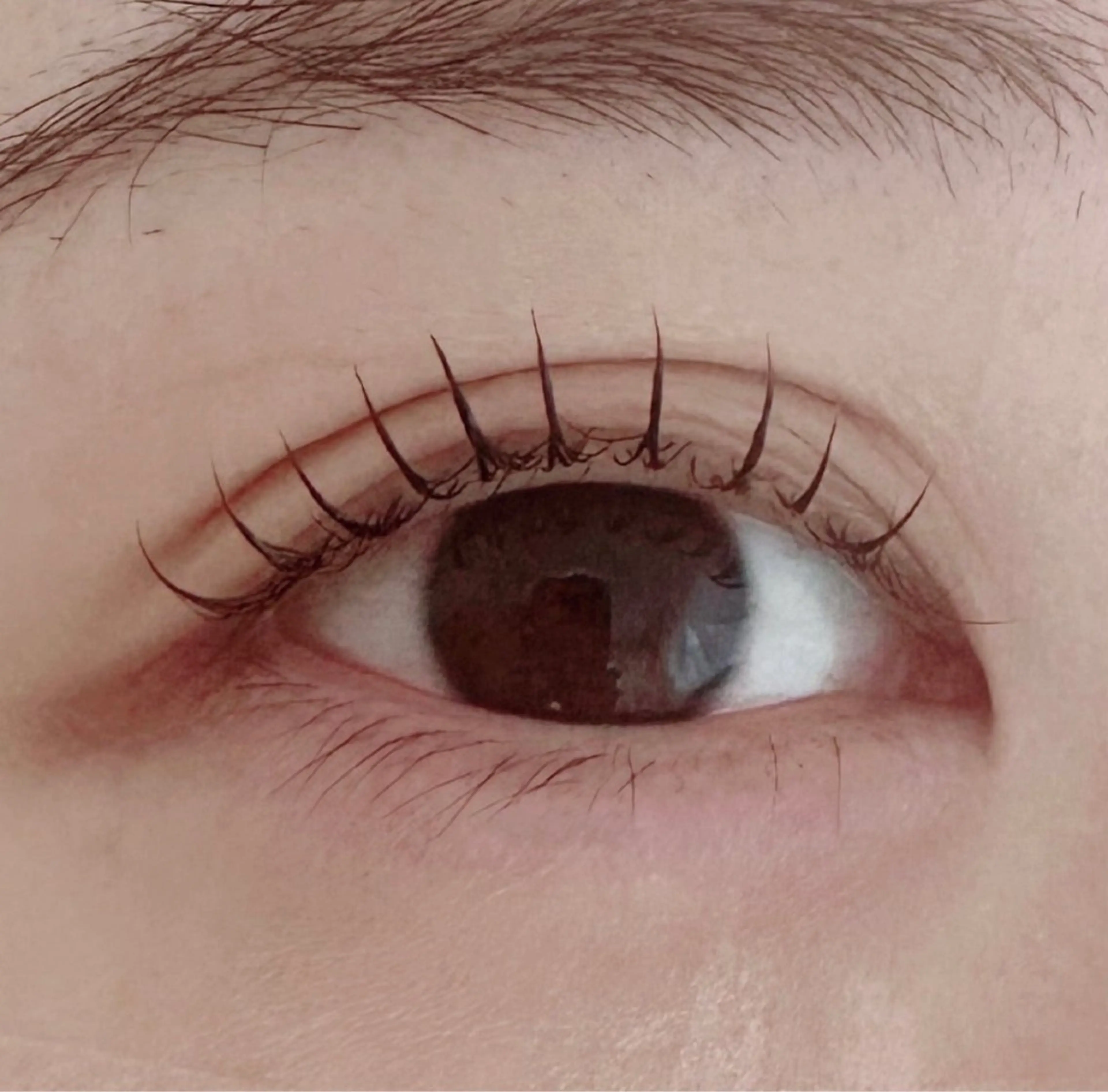 マツエク・マツパ 一重×まつ毛パーマ Le'a永山 綾華のマツエク・マツパデザイン