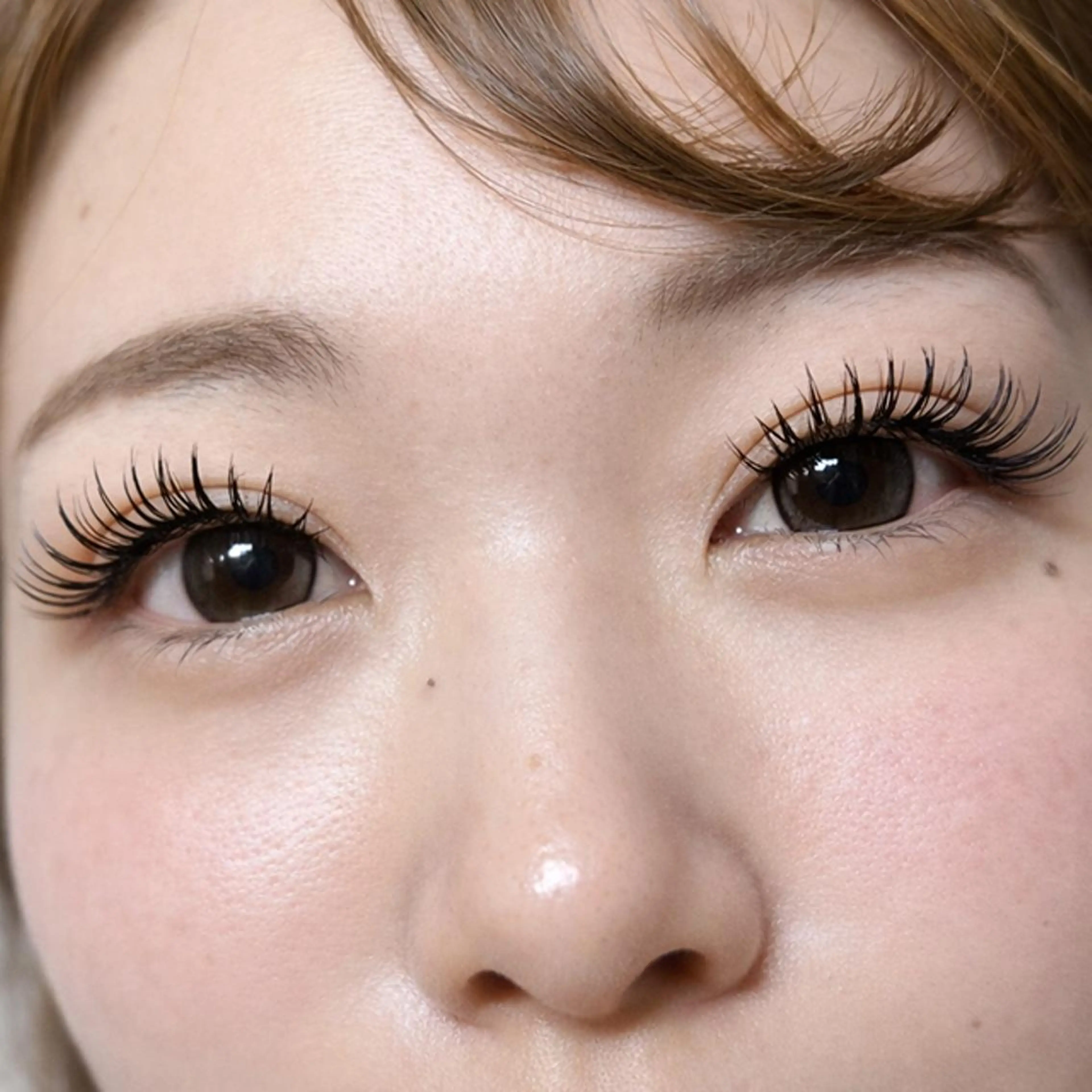 🌸【LED L・LC・LDボリューム100束】オフ込み☪️の写真