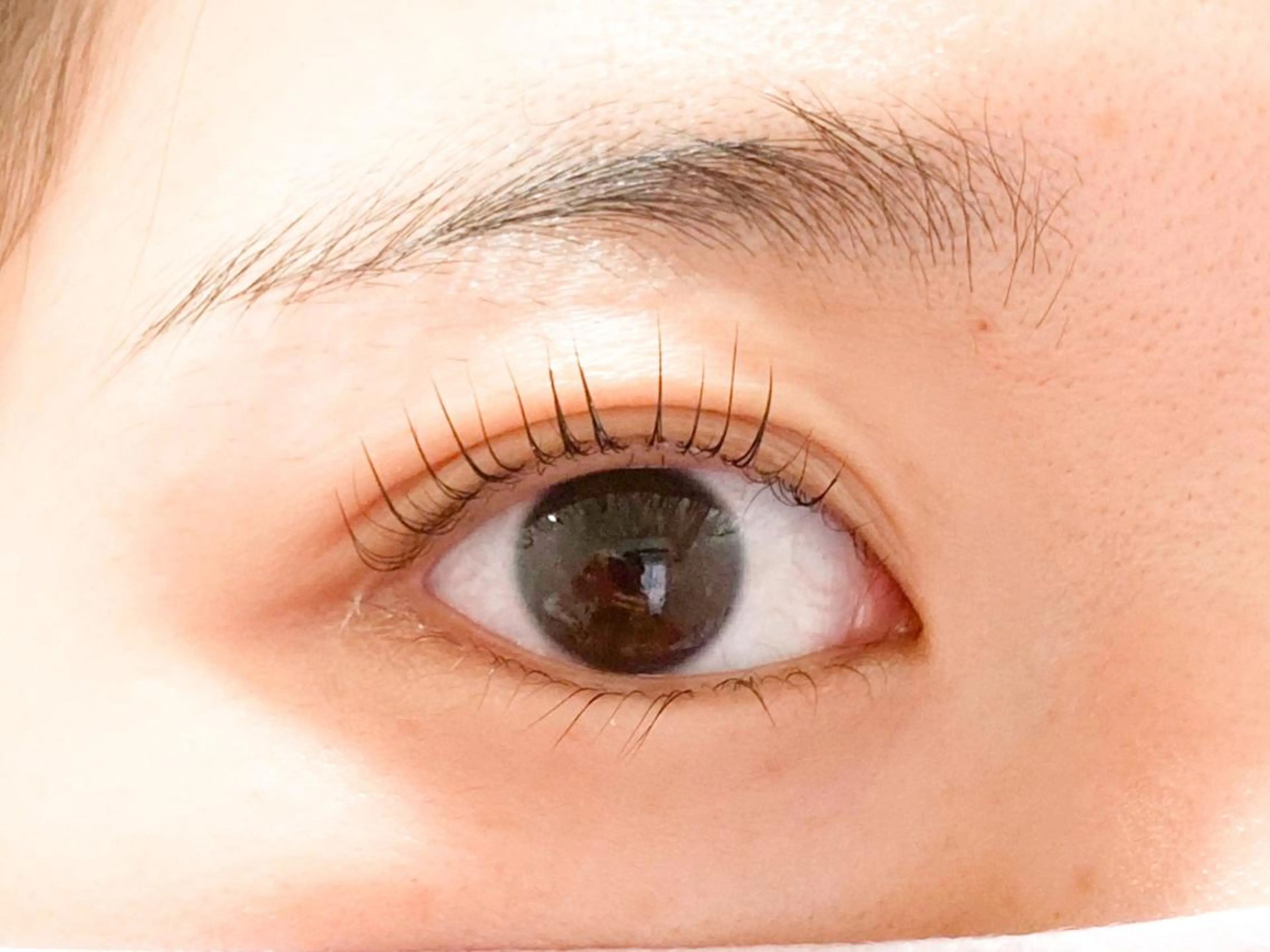 マツエク・マツパ マツパ トレヴァーデルチザン inuiのマツエク・マツパデザイン