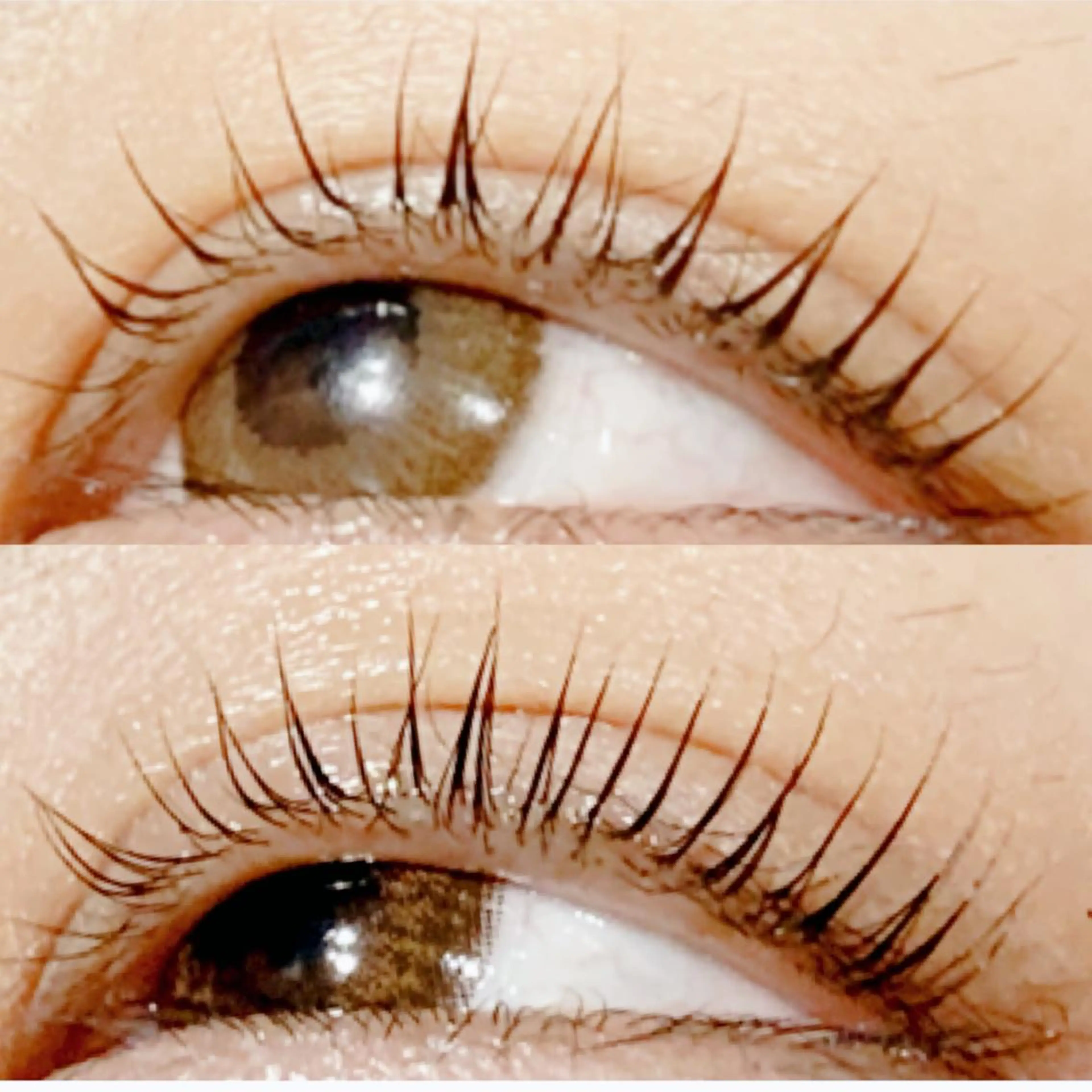 💙まつ毛の新常識💙【マイラミネーションまつ毛パーマ上】を掛けながらまつ毛を太くするイタリア産新技術✨の写真