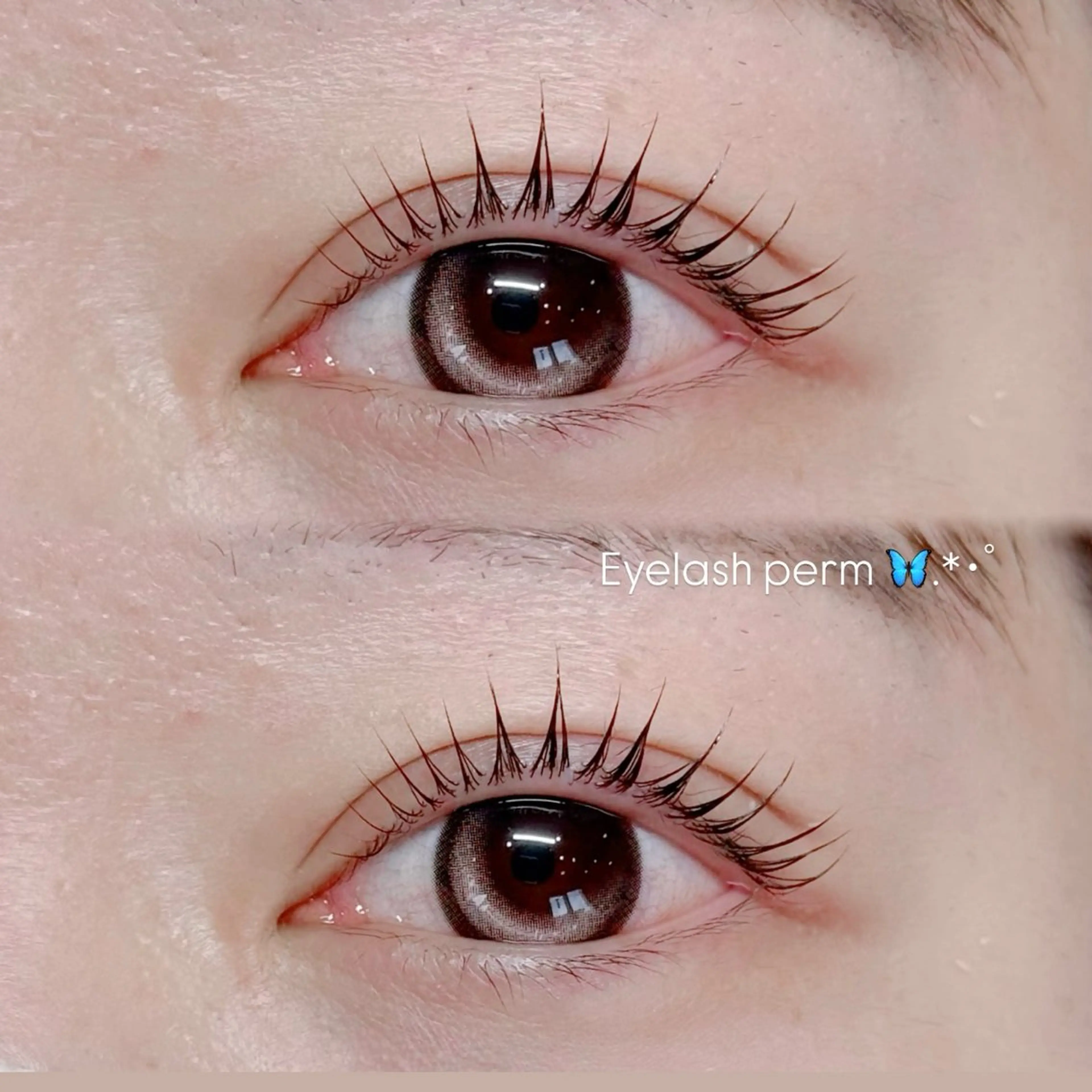 マツエク・マツパ マツパ ami eyelash✧‧˚のマツエク・マツパデザイン