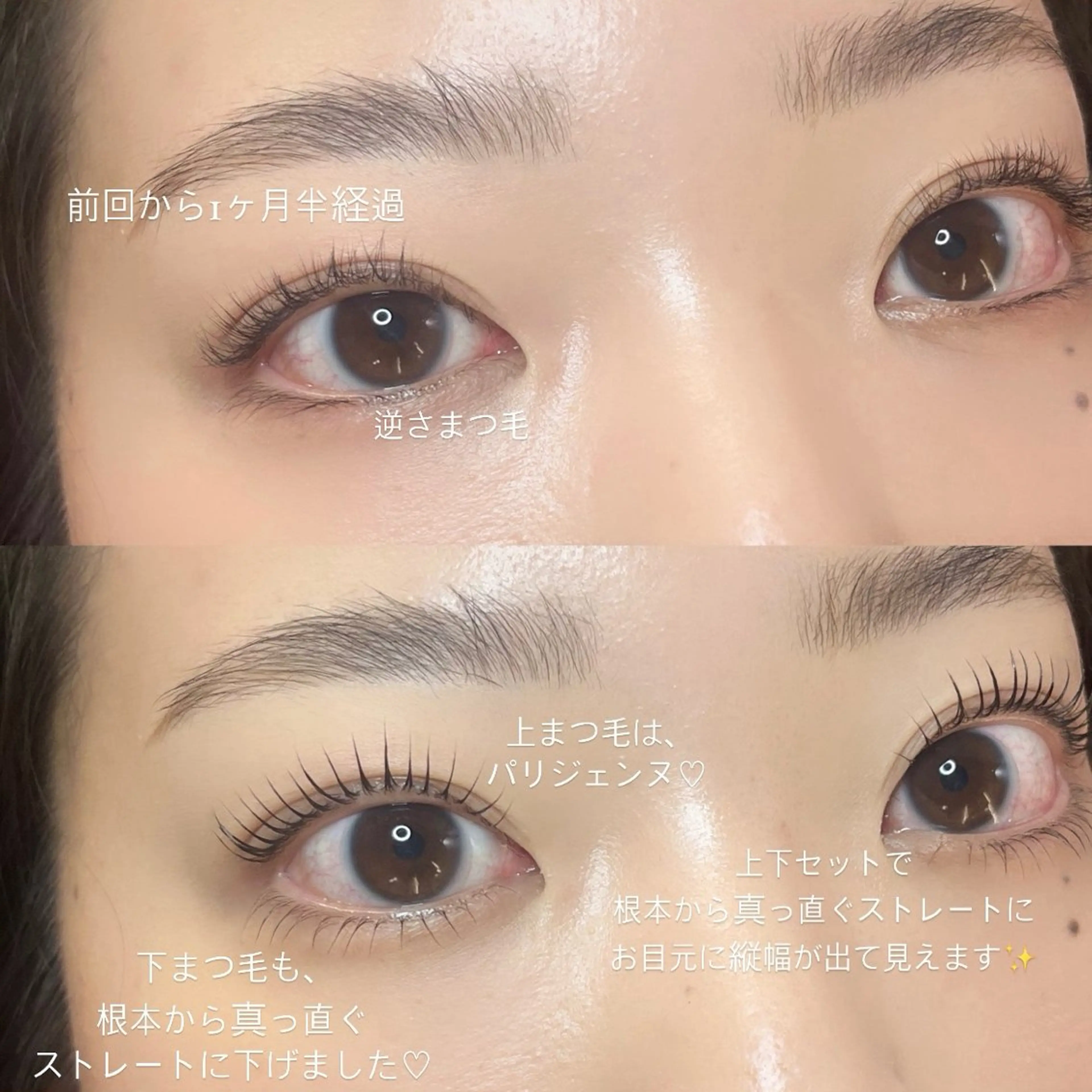 マツエク・マツパ パリジェンヌラッシュリフト 下まつげエクステ マツパ seReno KOHAKUの眉毛・アイブロウイメージ