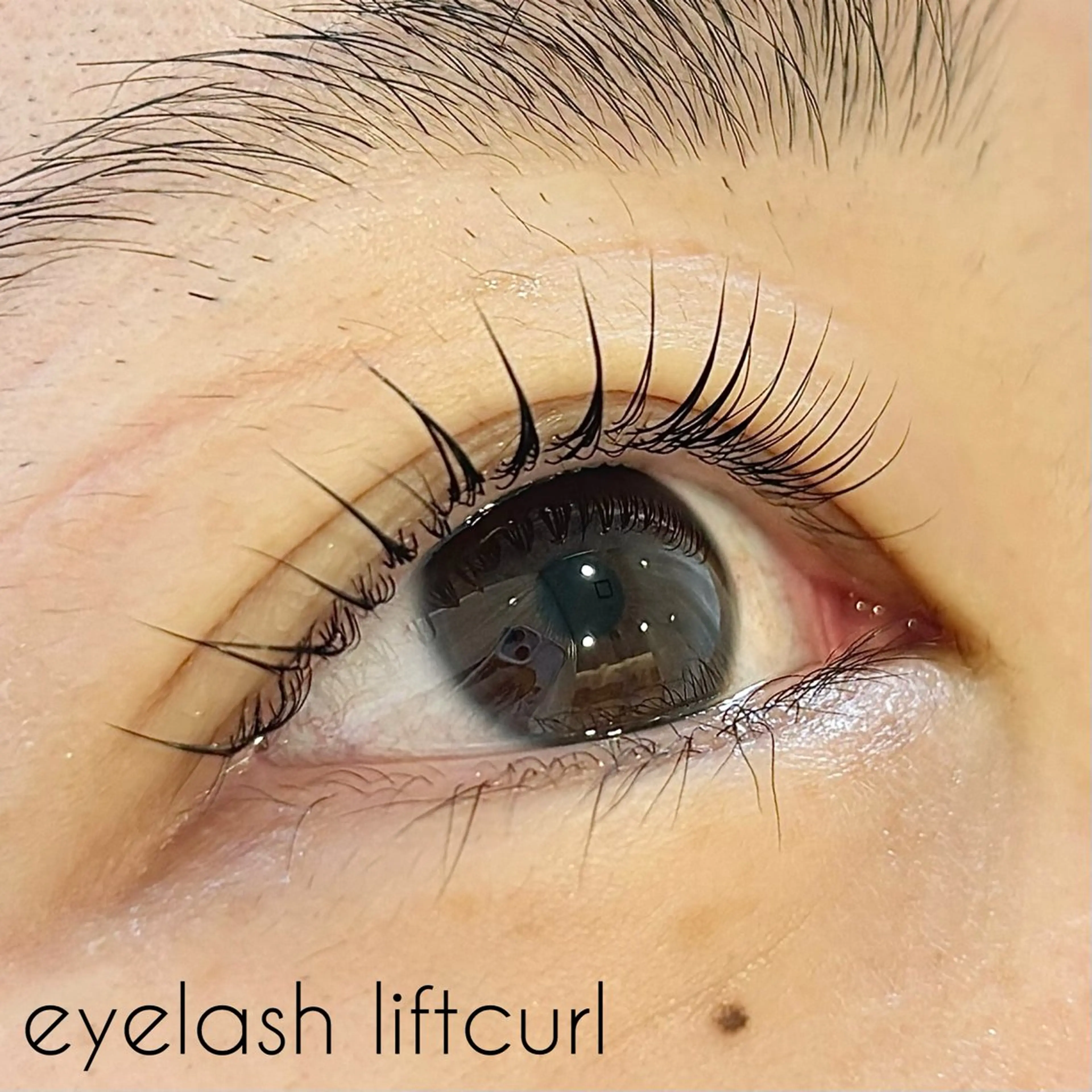 マツエク・マツパ パリジェンヌラッシュリフト ✧elpatio✧︎ 小出紗羅のマツエク・マツパデザイン