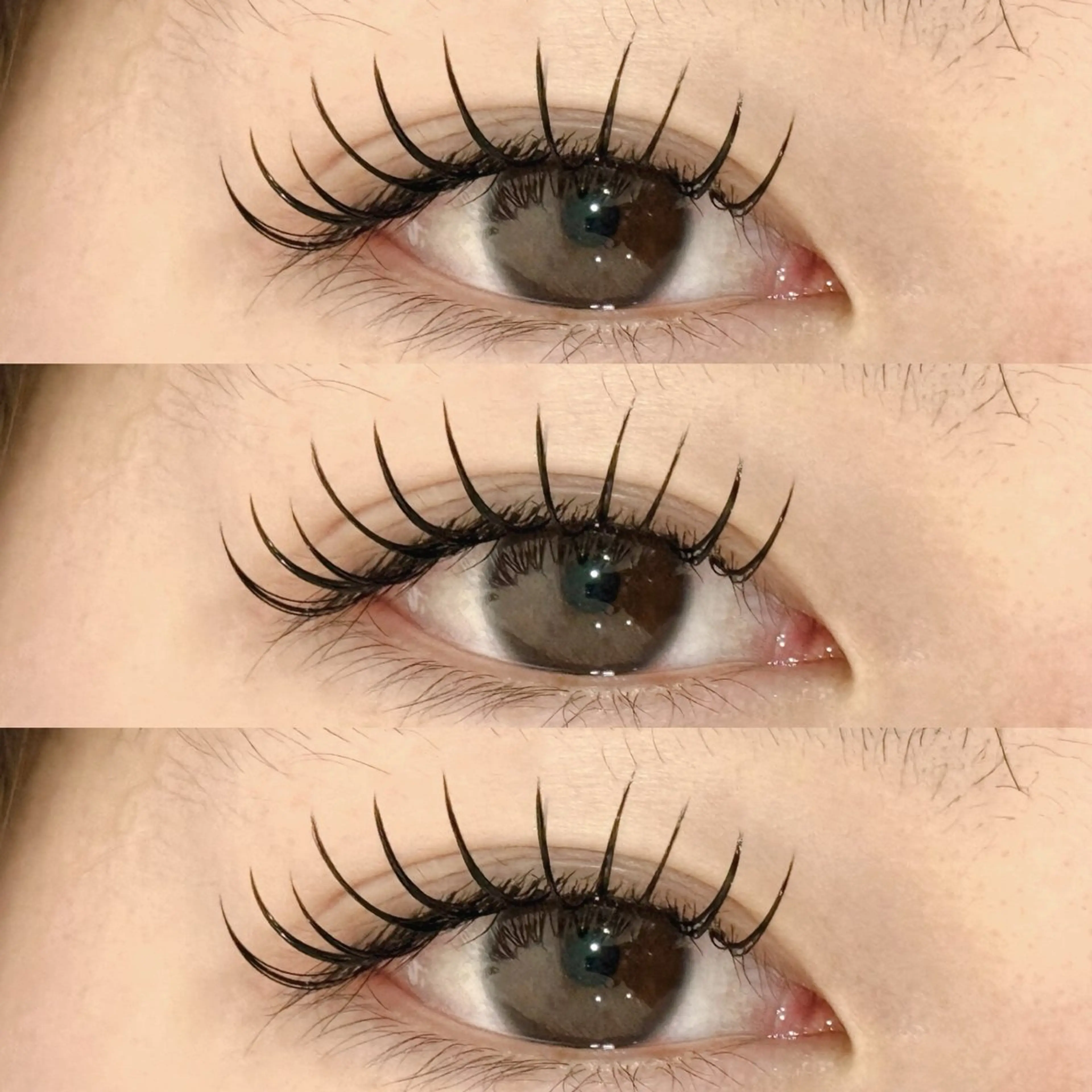 マツエク・マツパ フラットラッシュ M🐰 上本町/谷九のマツエク・マツパデザイン