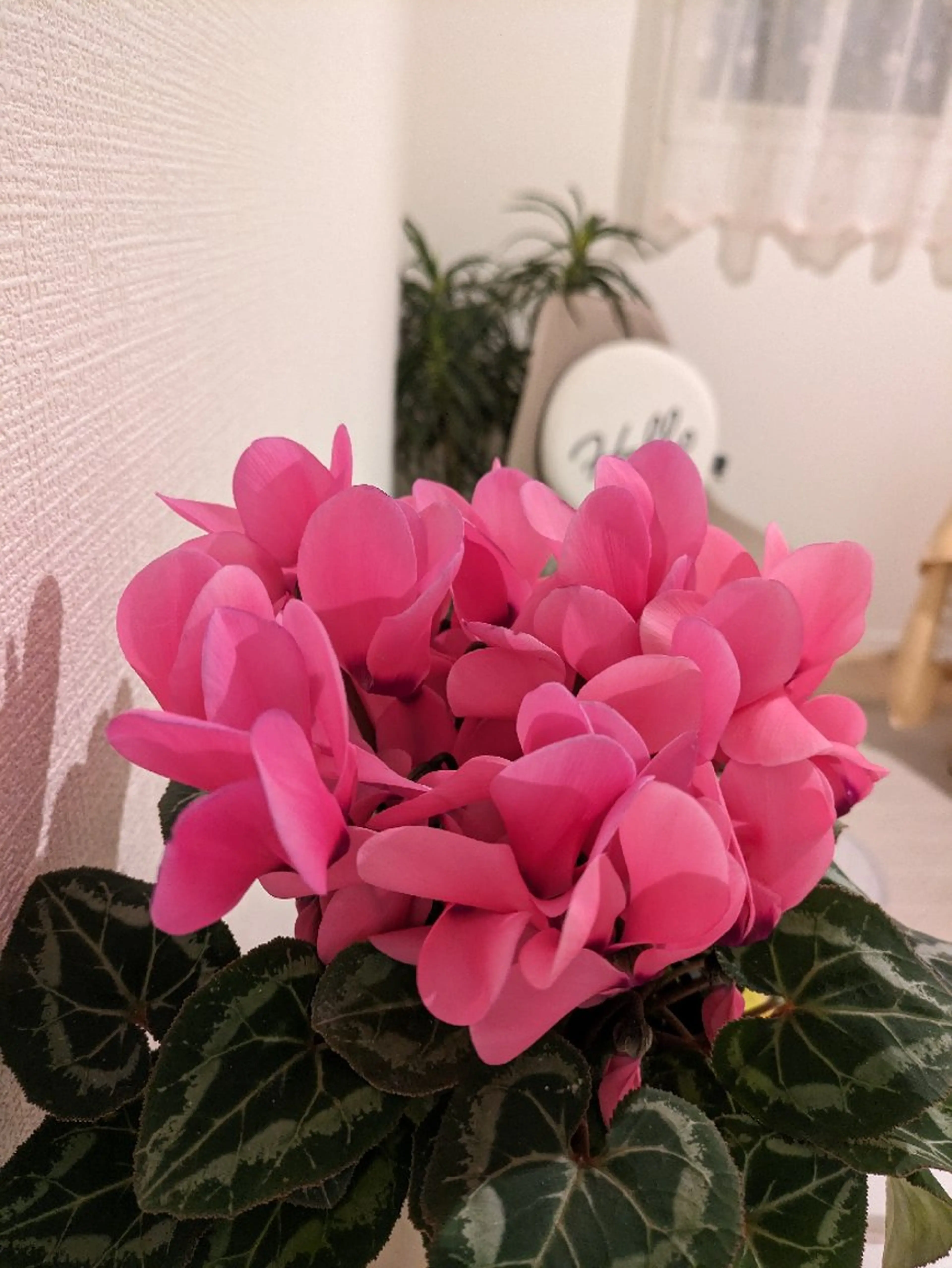 じむら まゆみのエステ・リラクイメージ