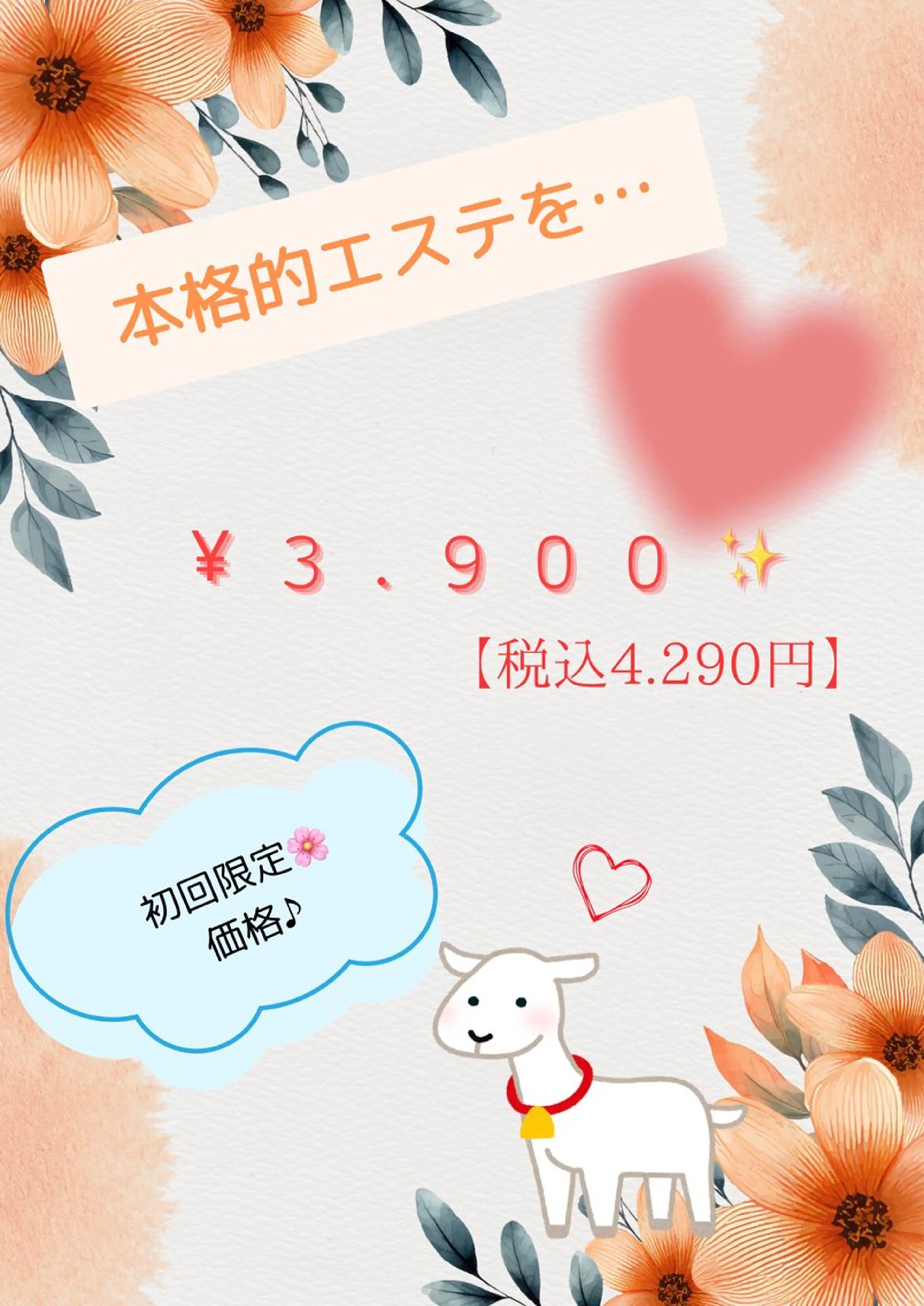 🫧クリア&モイスト🫧【乾燥&くすみ　ケア✨】の写真