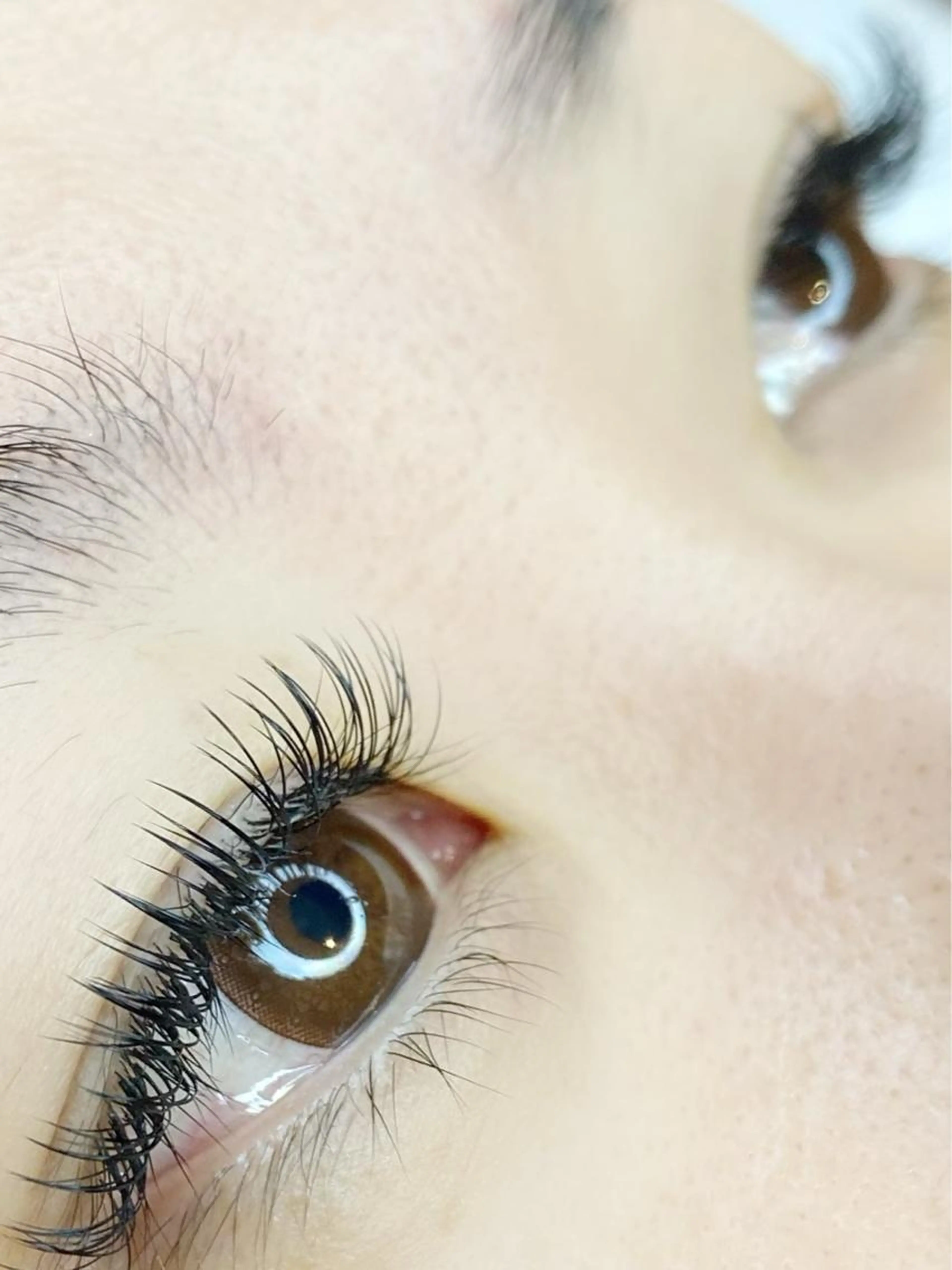 🥀オフ込 フラットラッシュ160本の写真