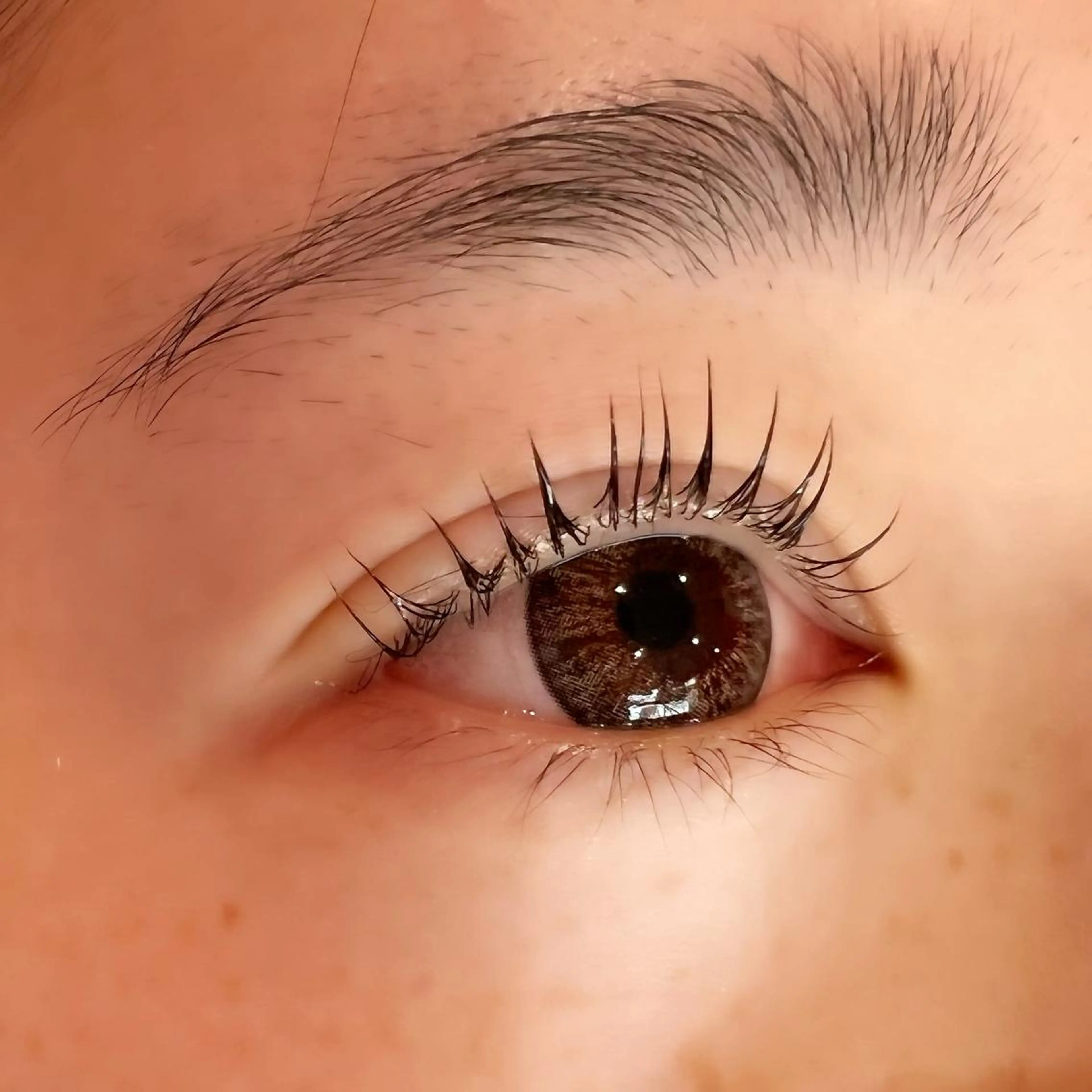 マツエク・マツパ Celeste Venus所属・🧸Celeste Venusのマツエク・マツパデザイン