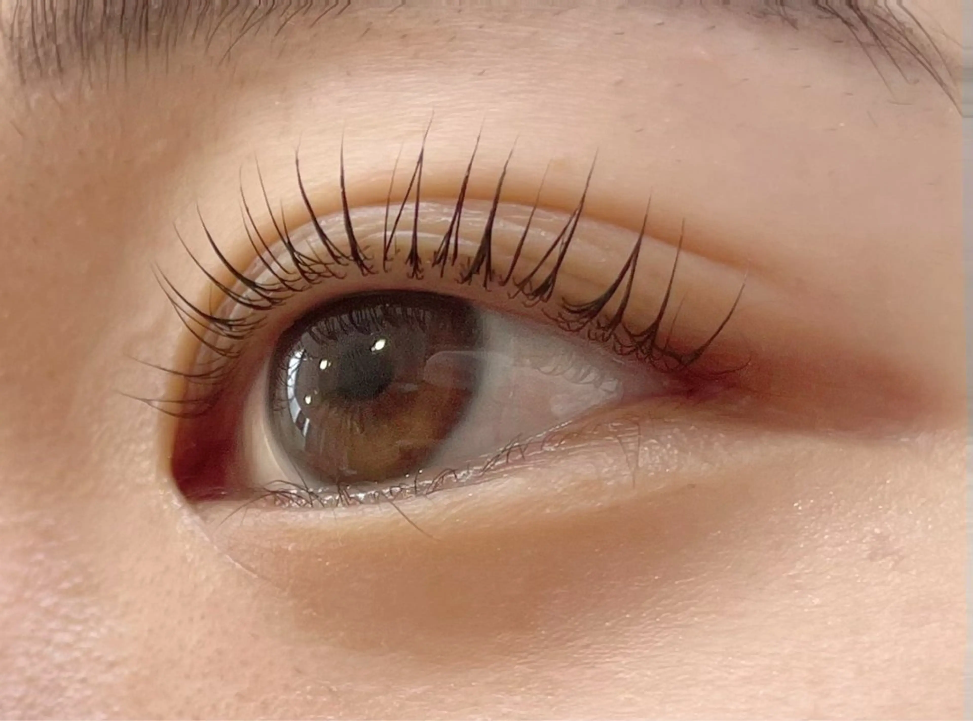 マツエク・マツパ マツパ Carina所属・🦋Carina荻窪 kazumi🦋のマツエク・マツパデザイン