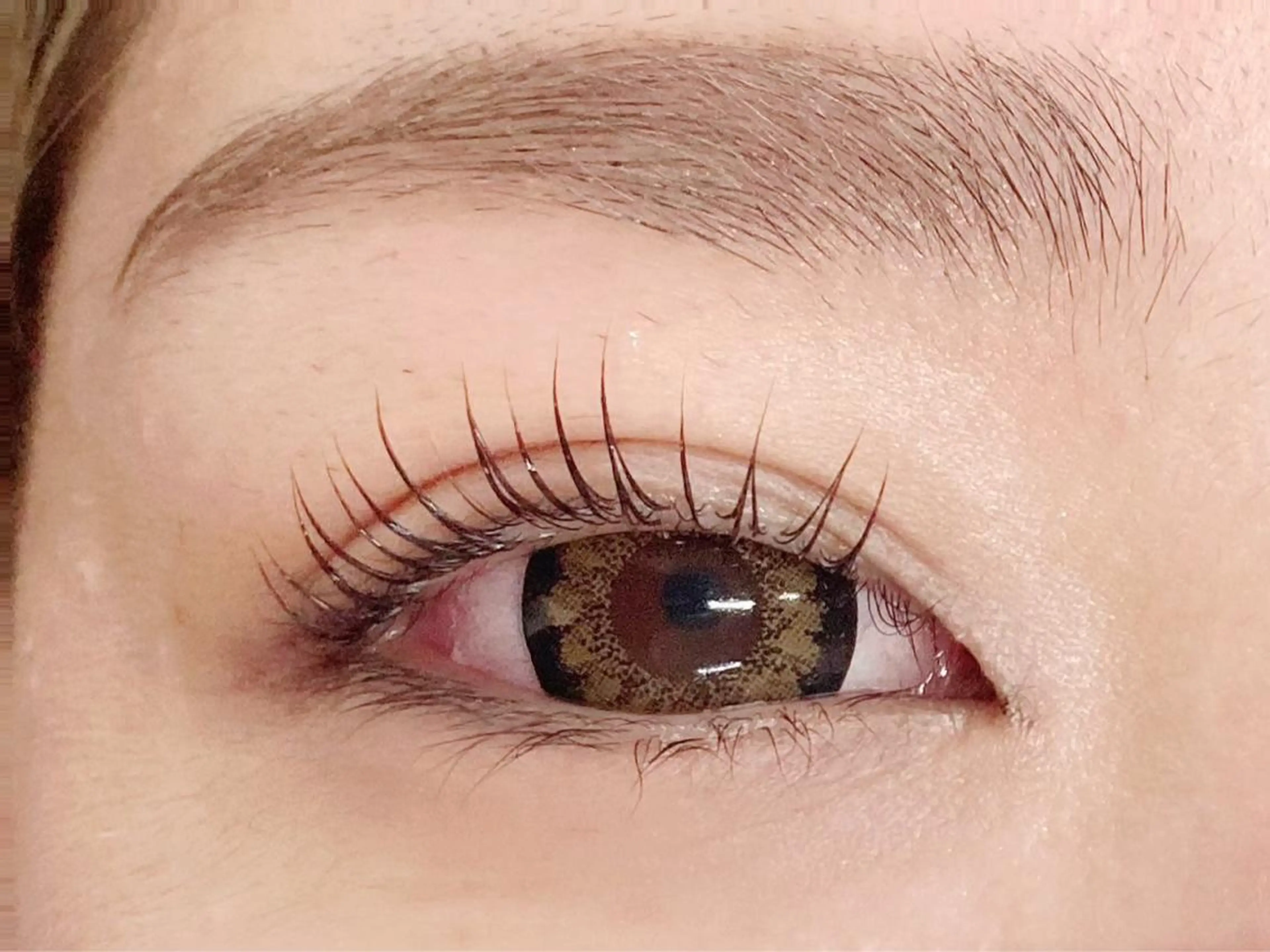 🫧まつ毛パーマ上🫧　　✨トリートメント仕上げ✨　長津田/青葉台/まつパの写真