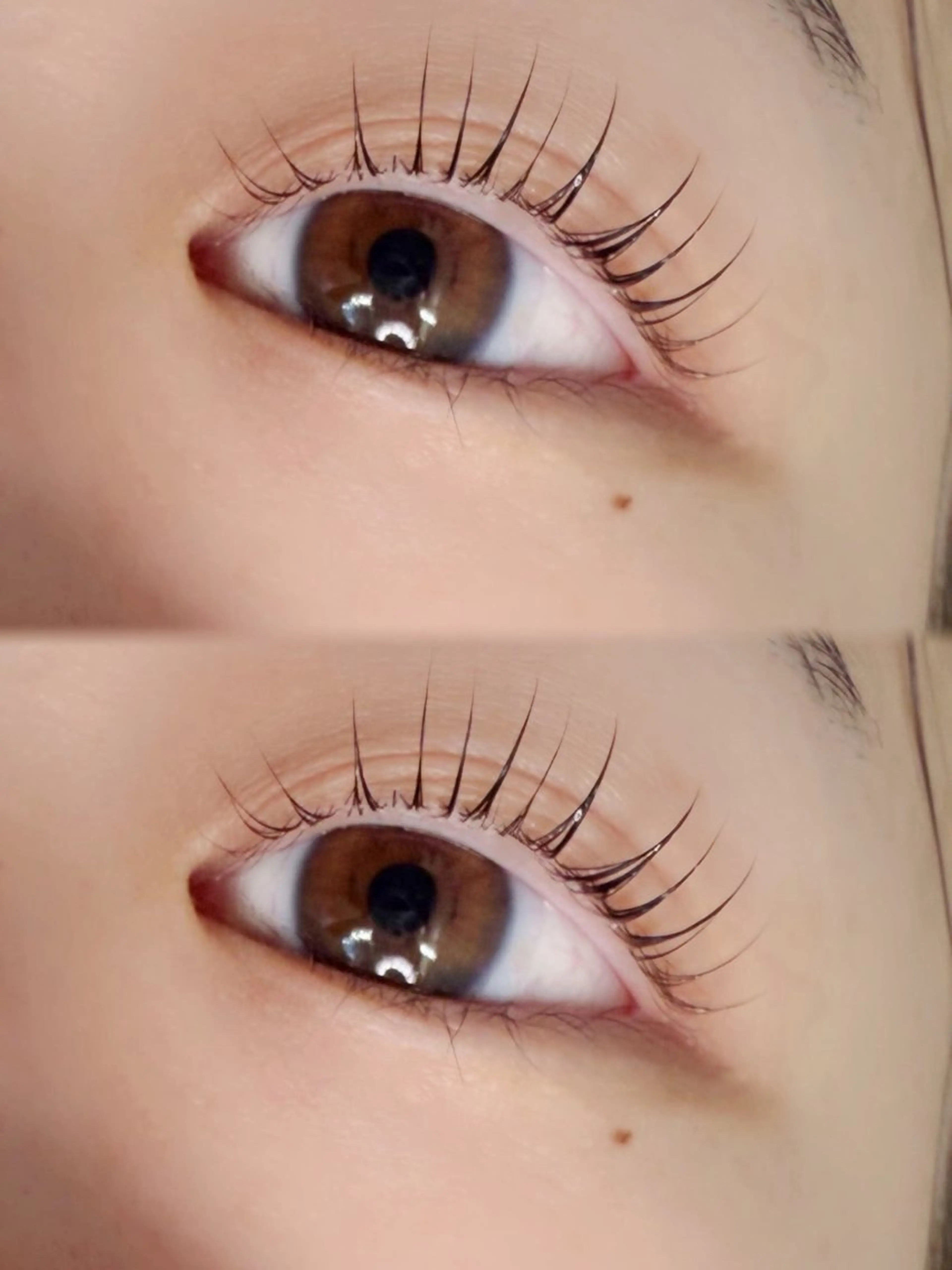 マツエク・マツパ マツパ lieu pre🌿 まつたにのマツエク・マツパデザイン