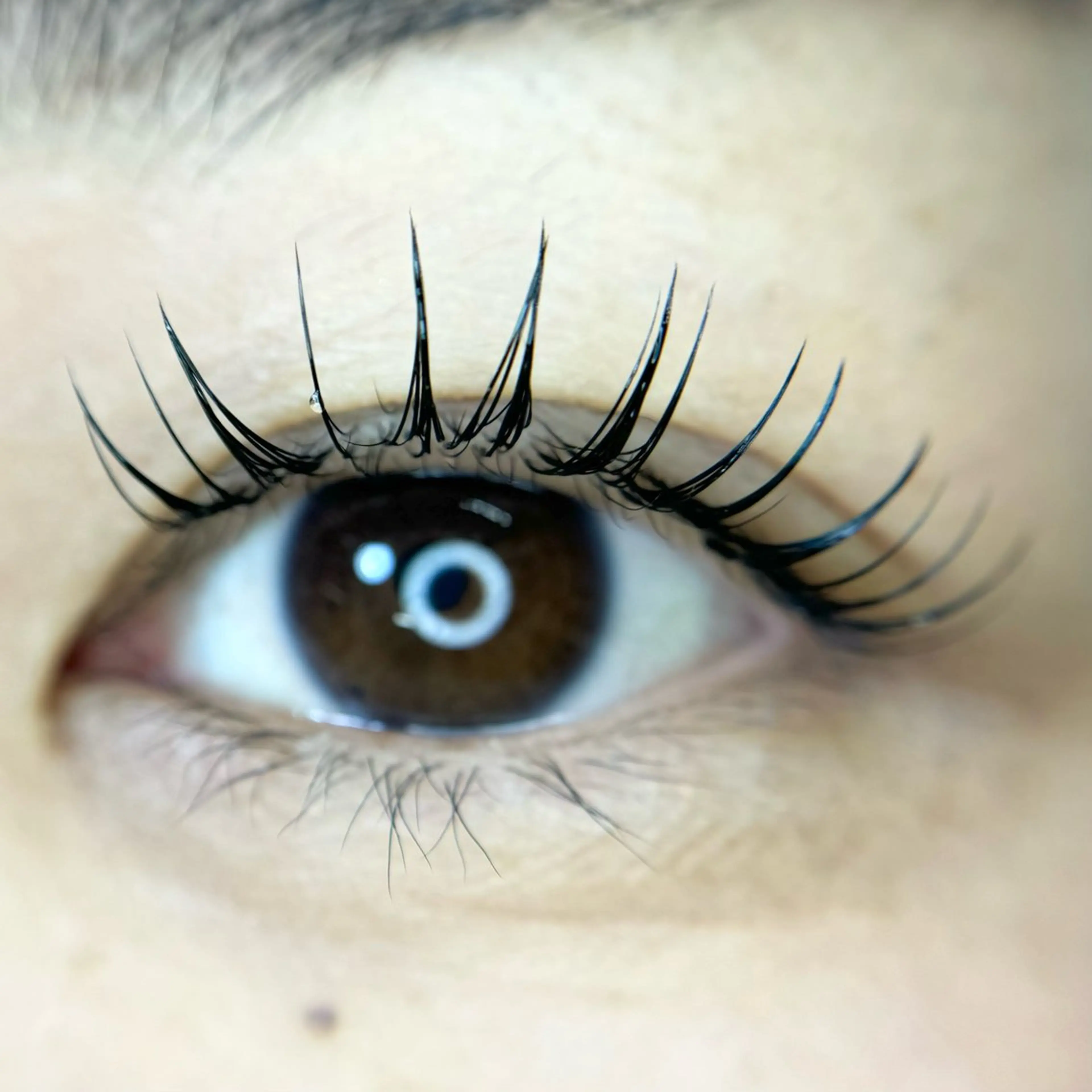 マツエク・マツパ f.【エフドット】 二俣川のマツエク・マツパデザイン