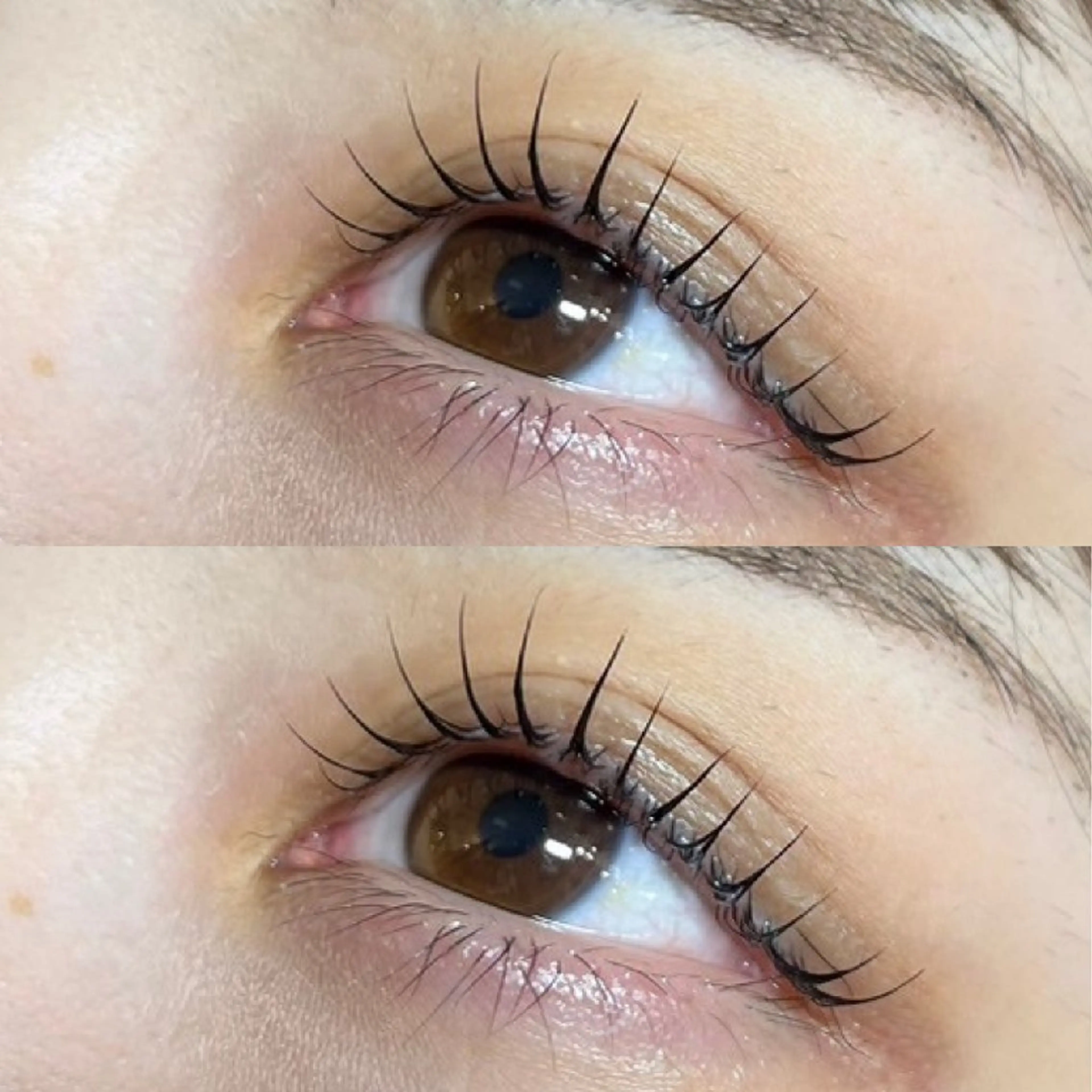 マツエク・マツパ ネイル　アイブロウ Behindの眉毛・アイブロウイメージ