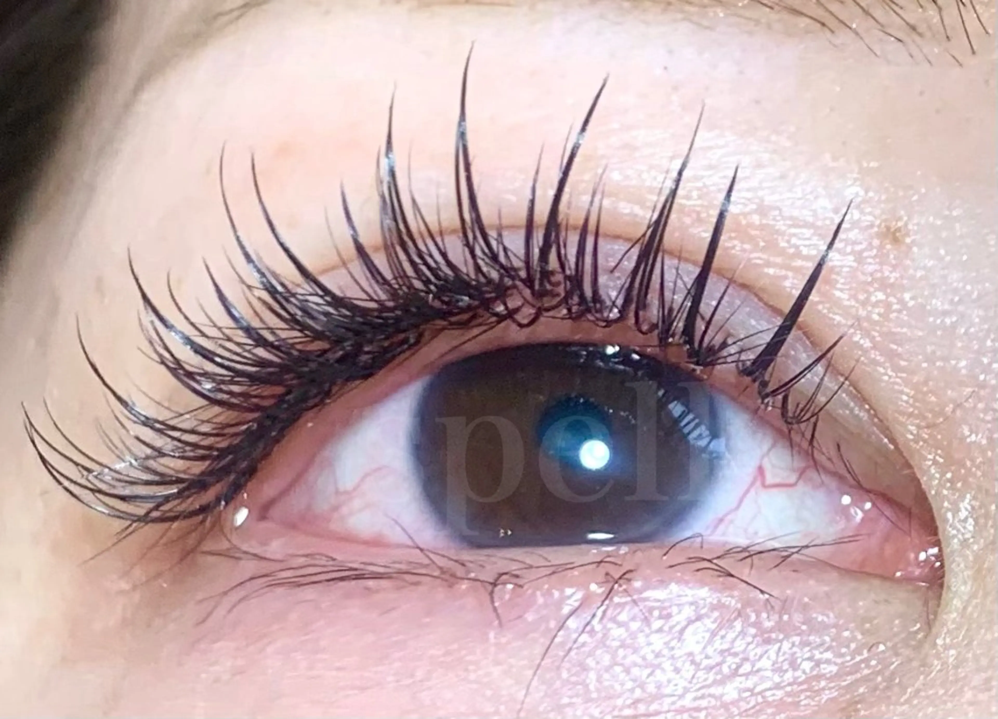 マツエク・マツパ spell eyelashのマツエク・マツパデザイン