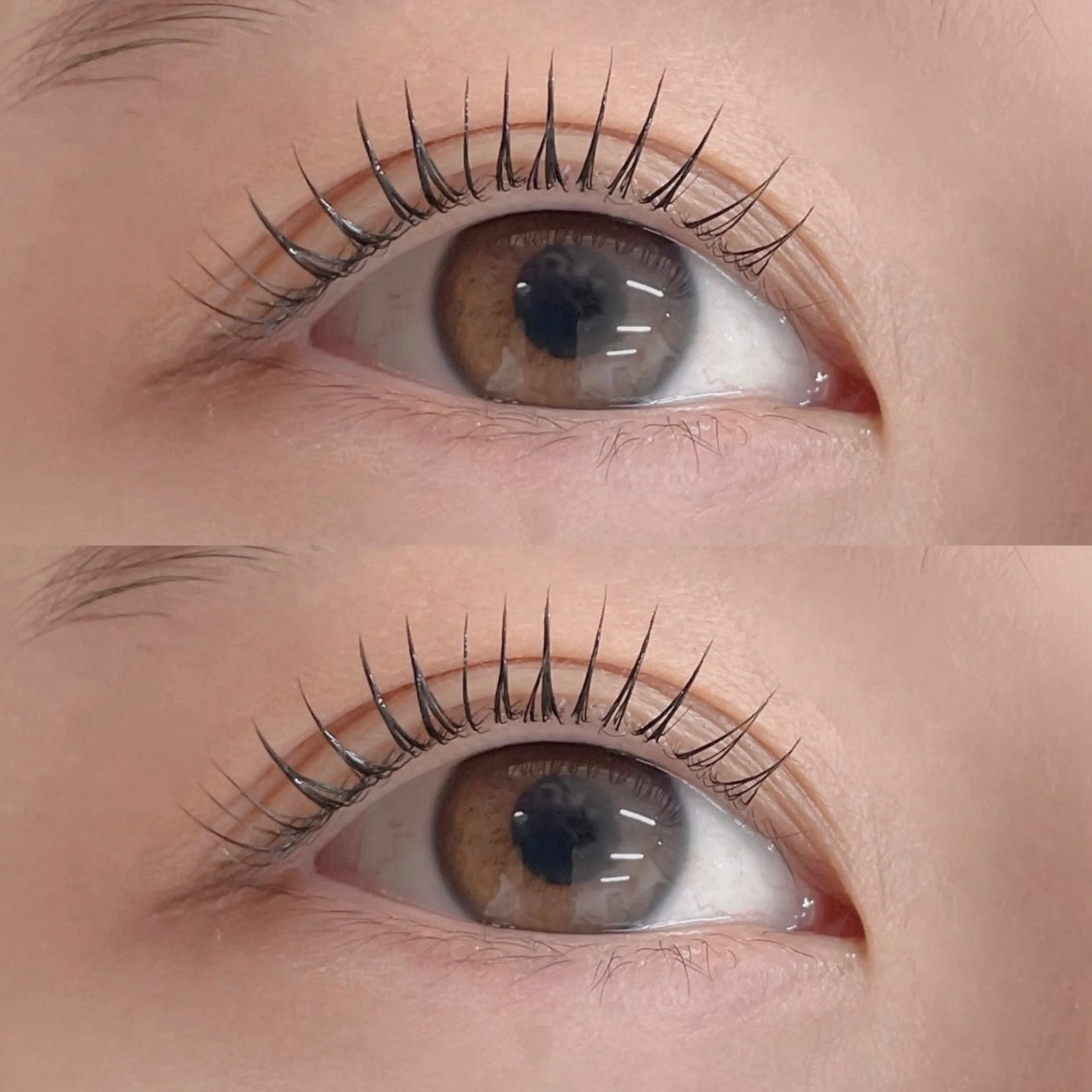 【3回分回数券】🐰コスメラッシュリフト🐰全時間1回分が3667円になります🩵の写真