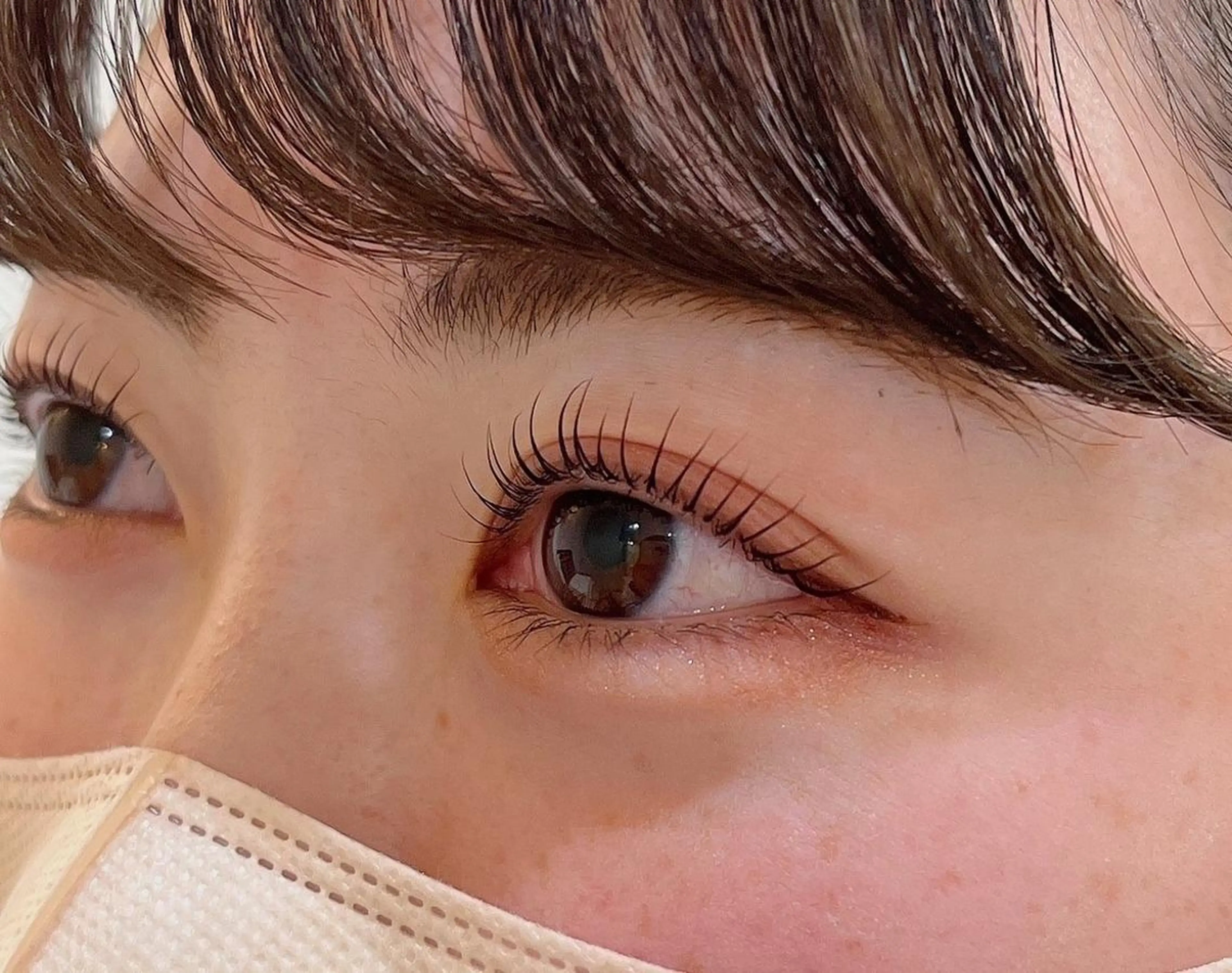 🌺SNSで話題🌺メーテルラッシュ👀の写真