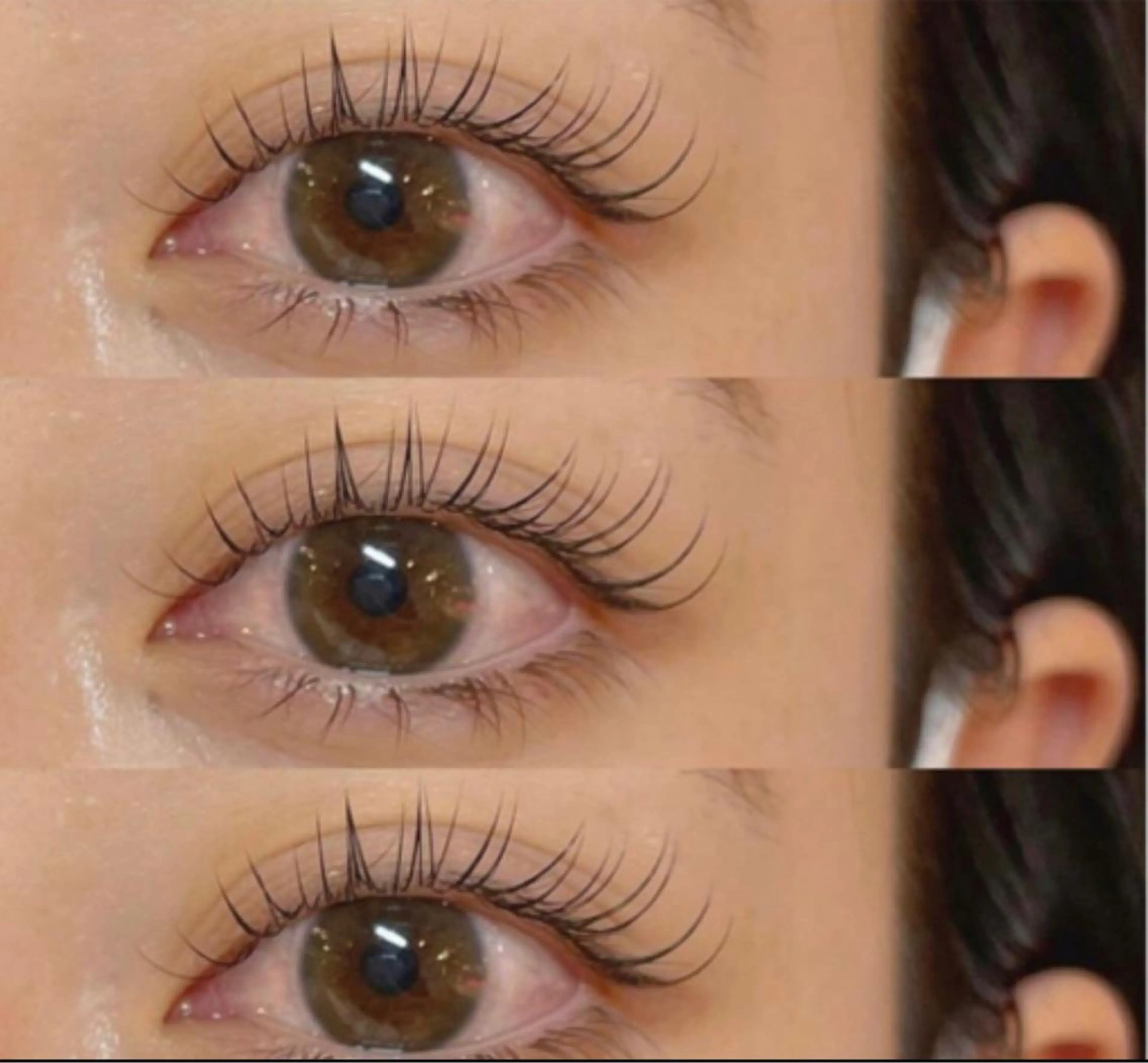 シングルラッシュ　2weeks リペア🌈の写真