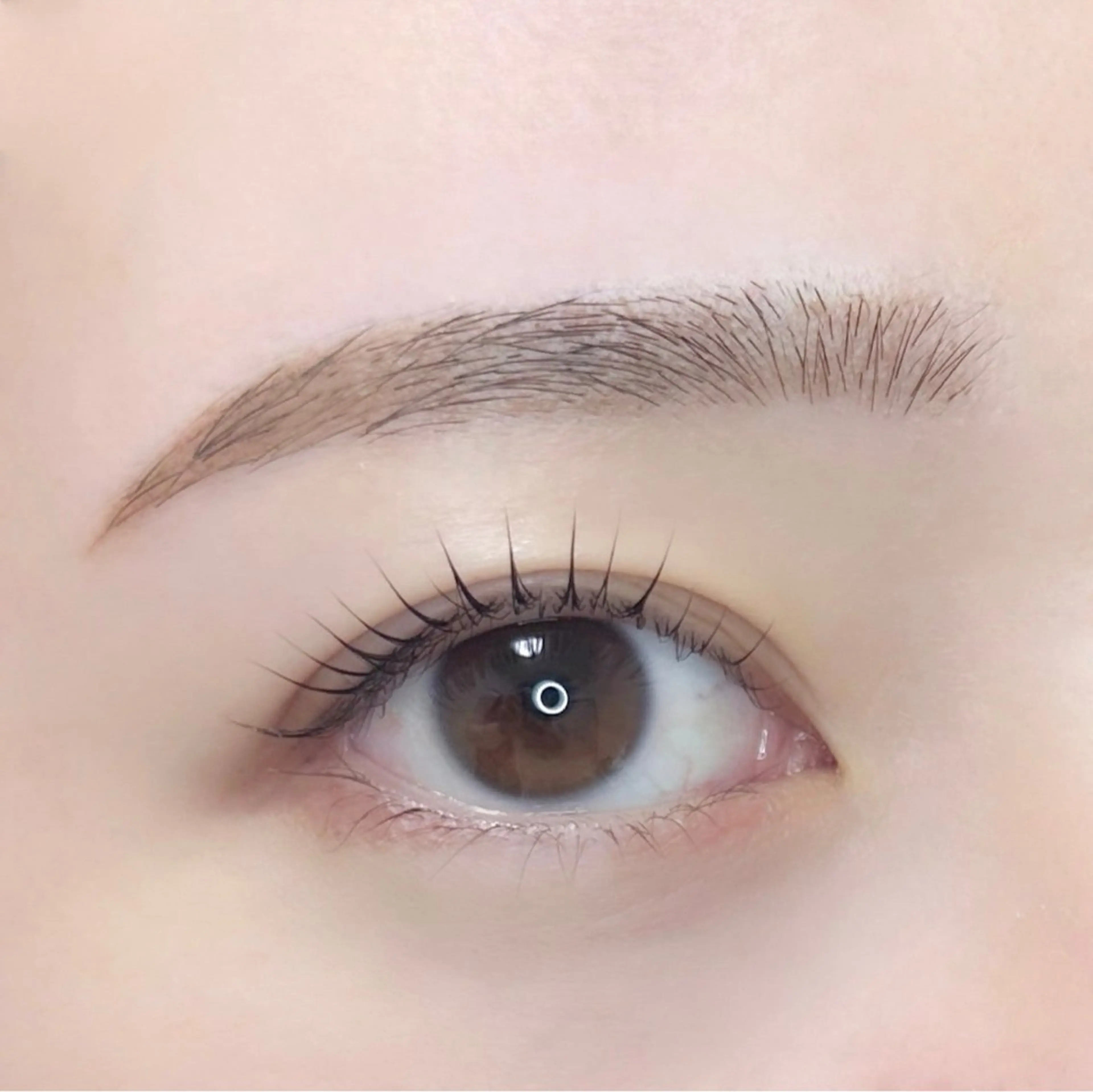 マツエク・マツパ A アイブロウ33大名店の眉毛・アイブロウイメージ