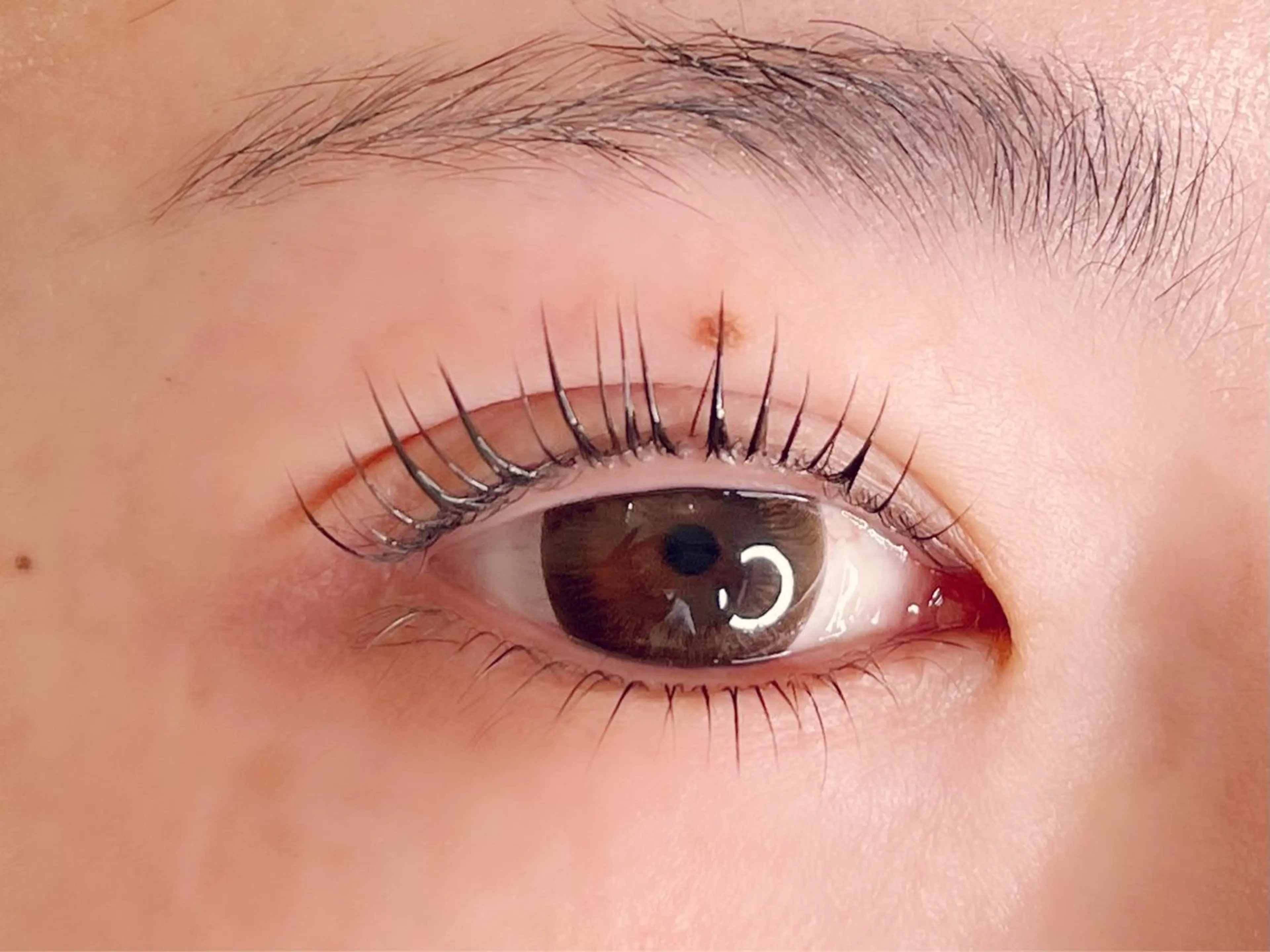 マツエク・マツパ 下まつげエクステ 一重×まつ毛パーマ Arva 【Leia】のマツエク・マツパデザイン