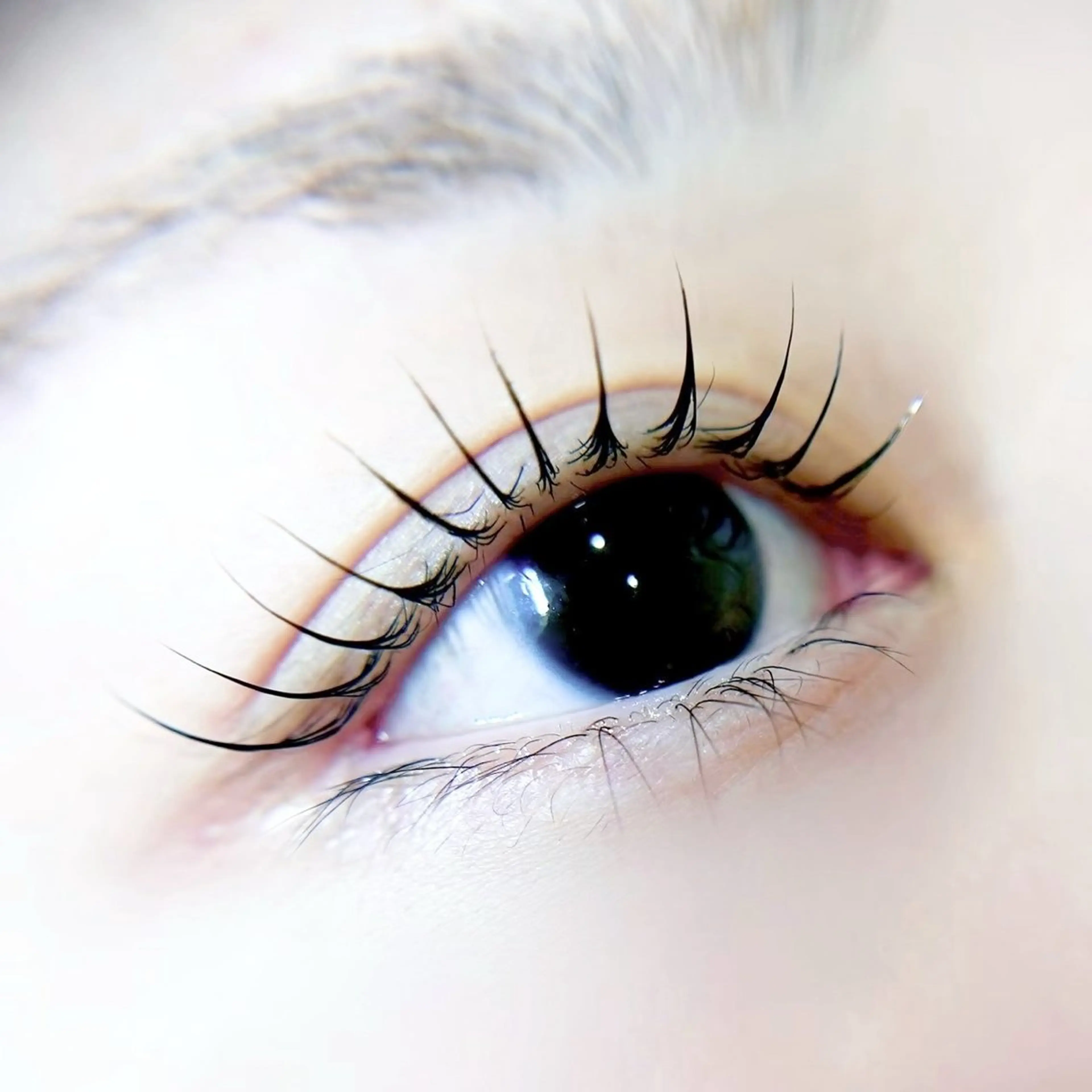 マツエク・マツパ iolo_ uedaの眉毛・アイブロウイメージ