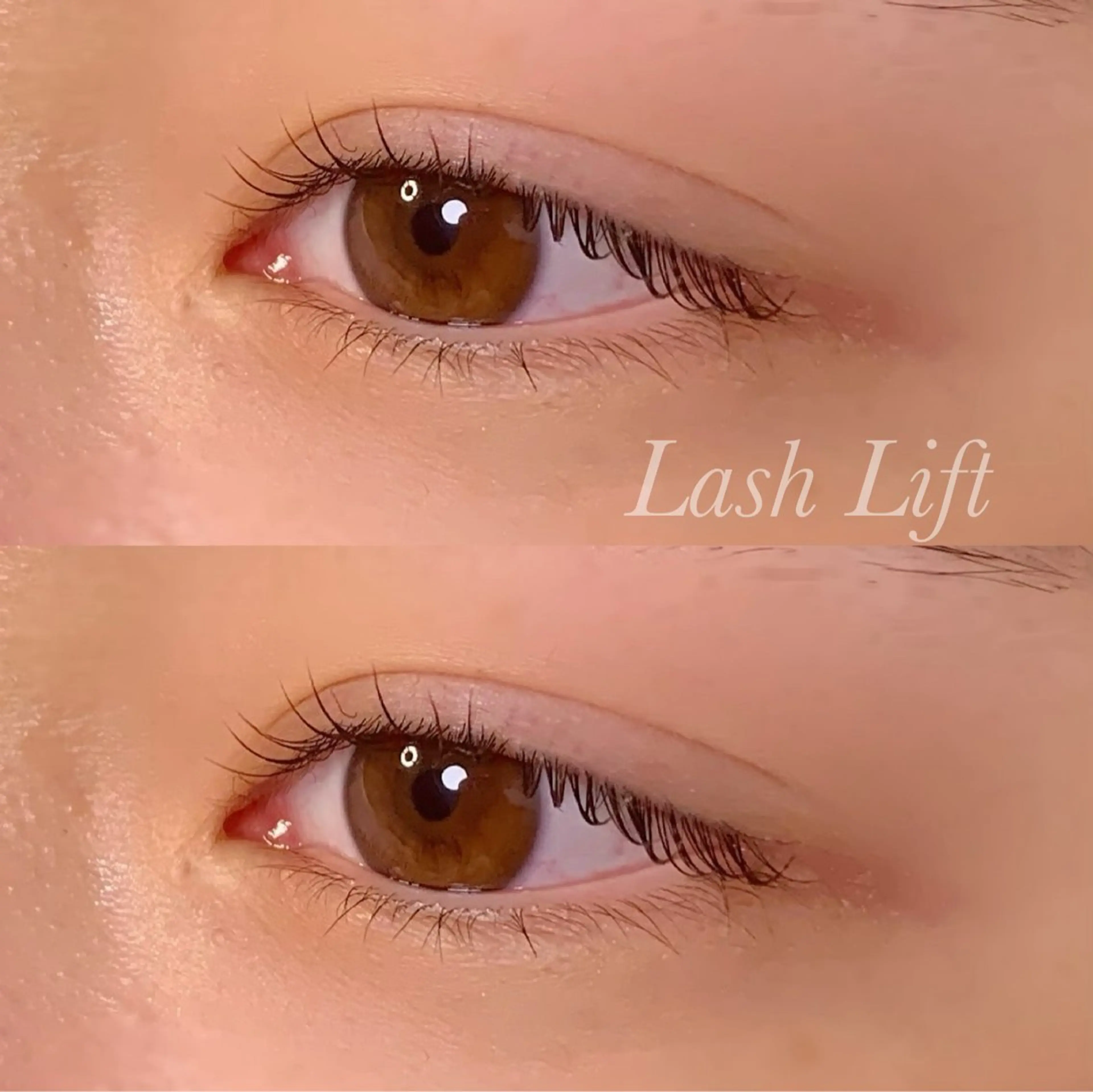 マツエク・マツパ まつげパーマ マツパ Ayumi.pro 🍆N《4階》のマツエク・マツパデザイン