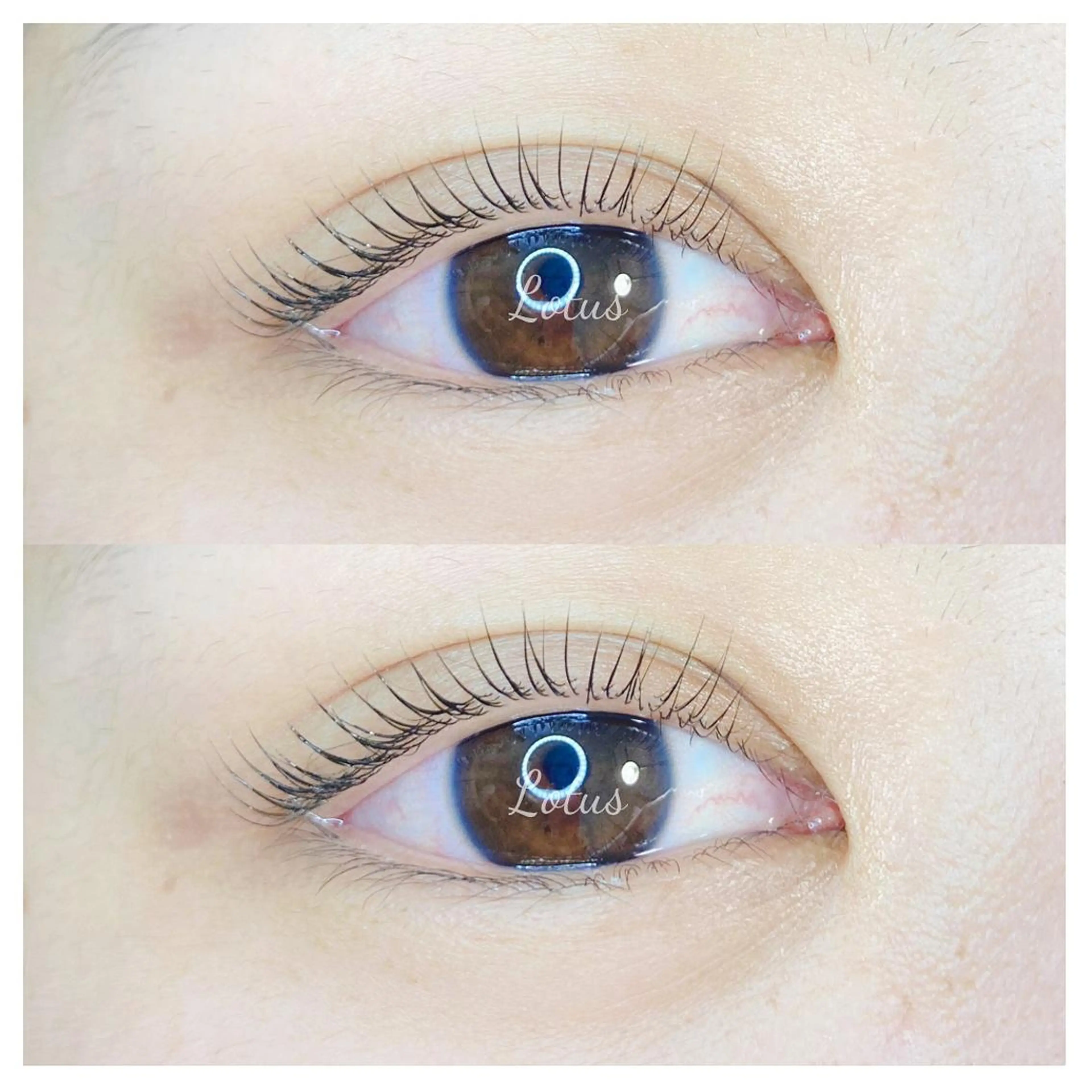 マツエク・マツパ マツパ Lotus所属・Lotus ロータスのマツエク・マツパデザイン