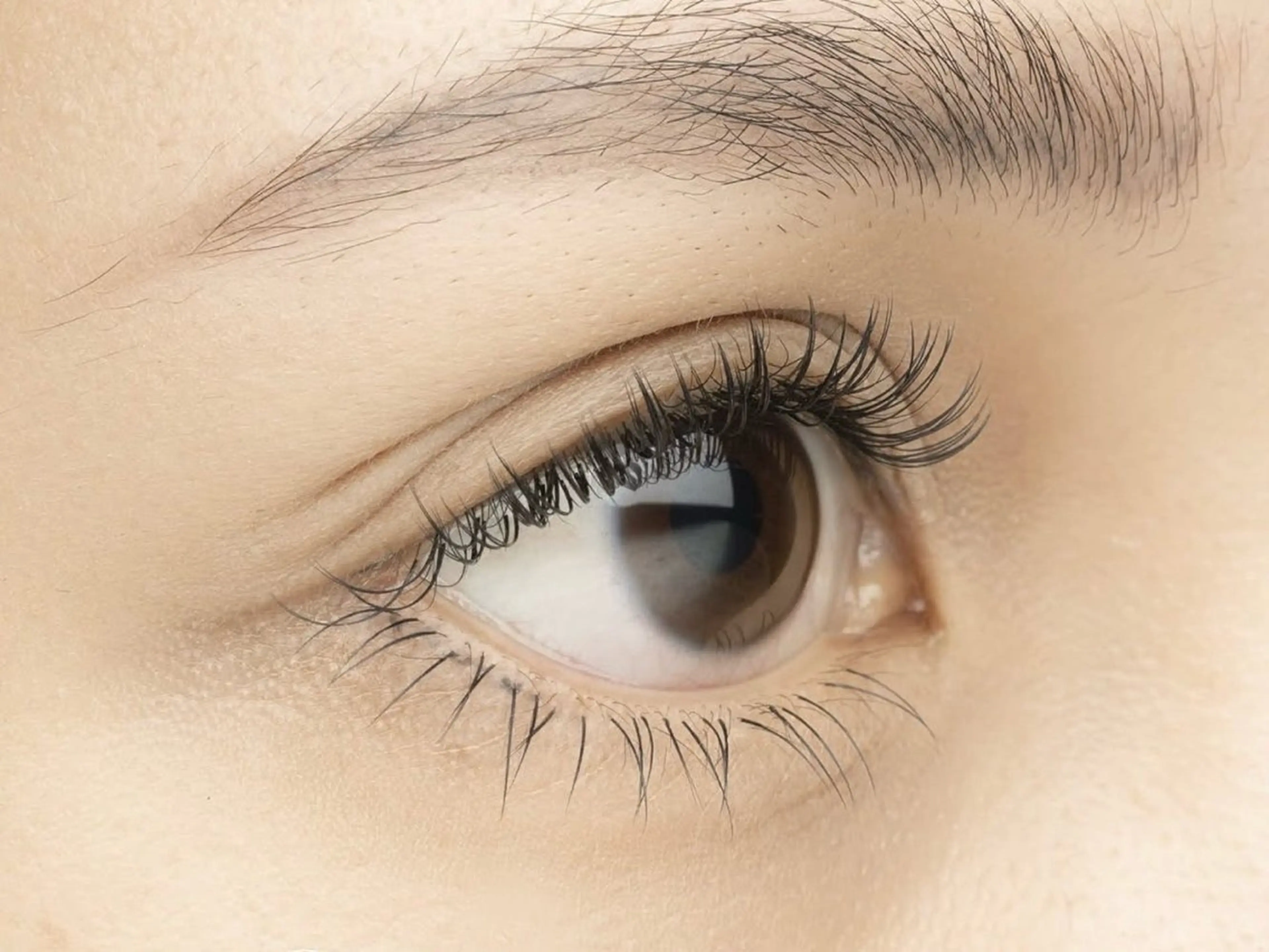 マツエク・マツパ ナチュラル Eyelash Booのマツエク・マツパデザイン