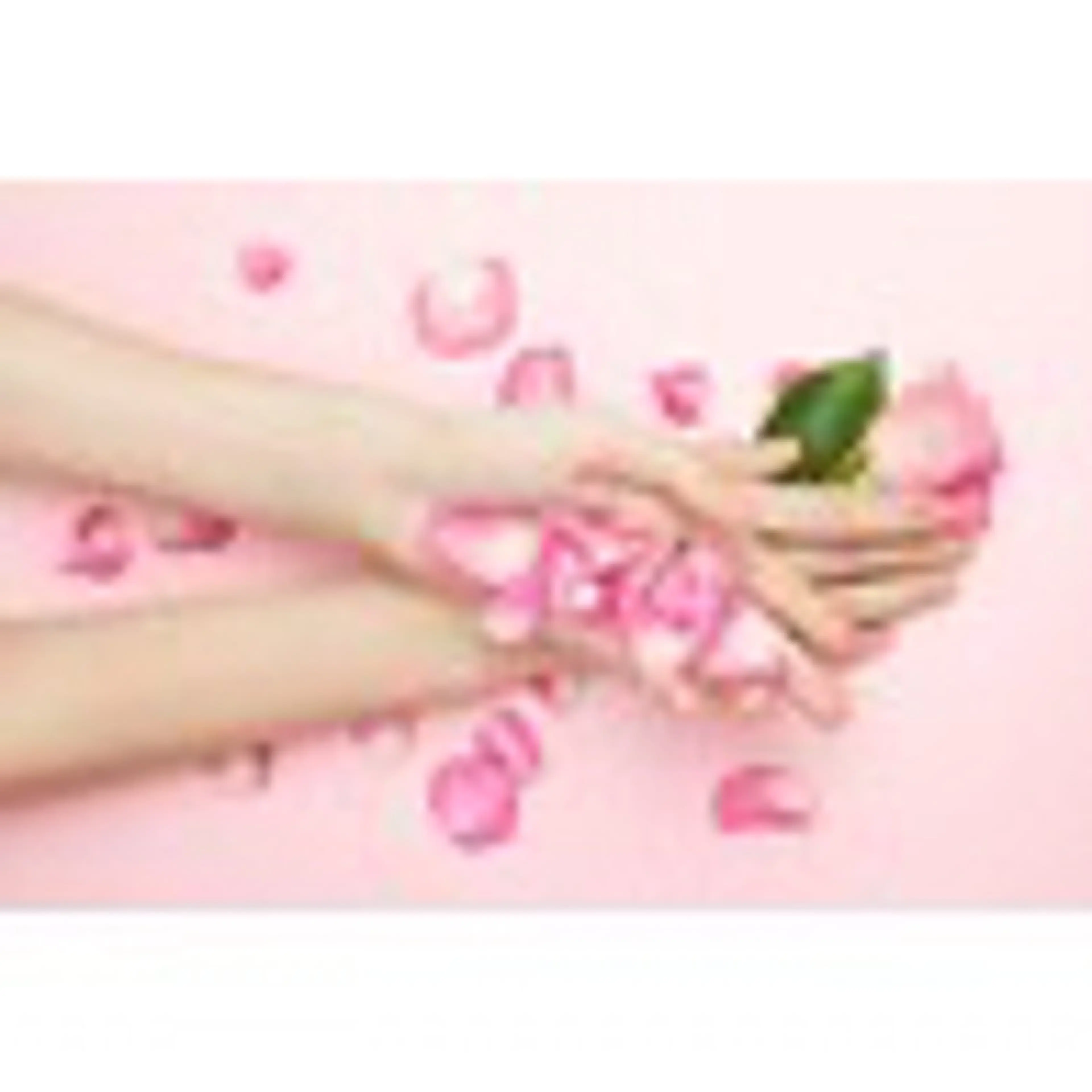 オフのみ90分の写真