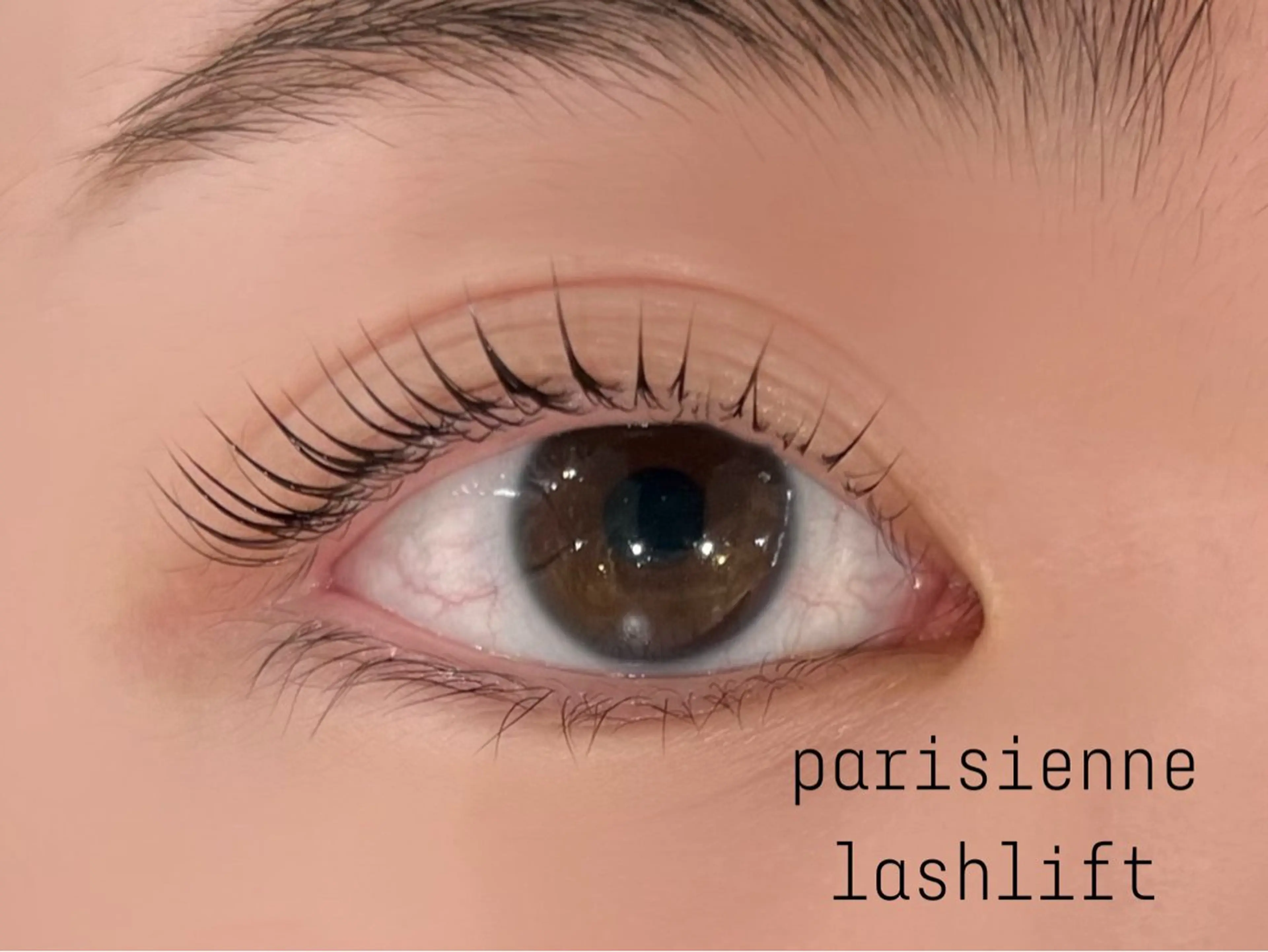 マツエク・マツパ マツパ eyelashZen ♥️HIMEのマツエク・マツパデザイン