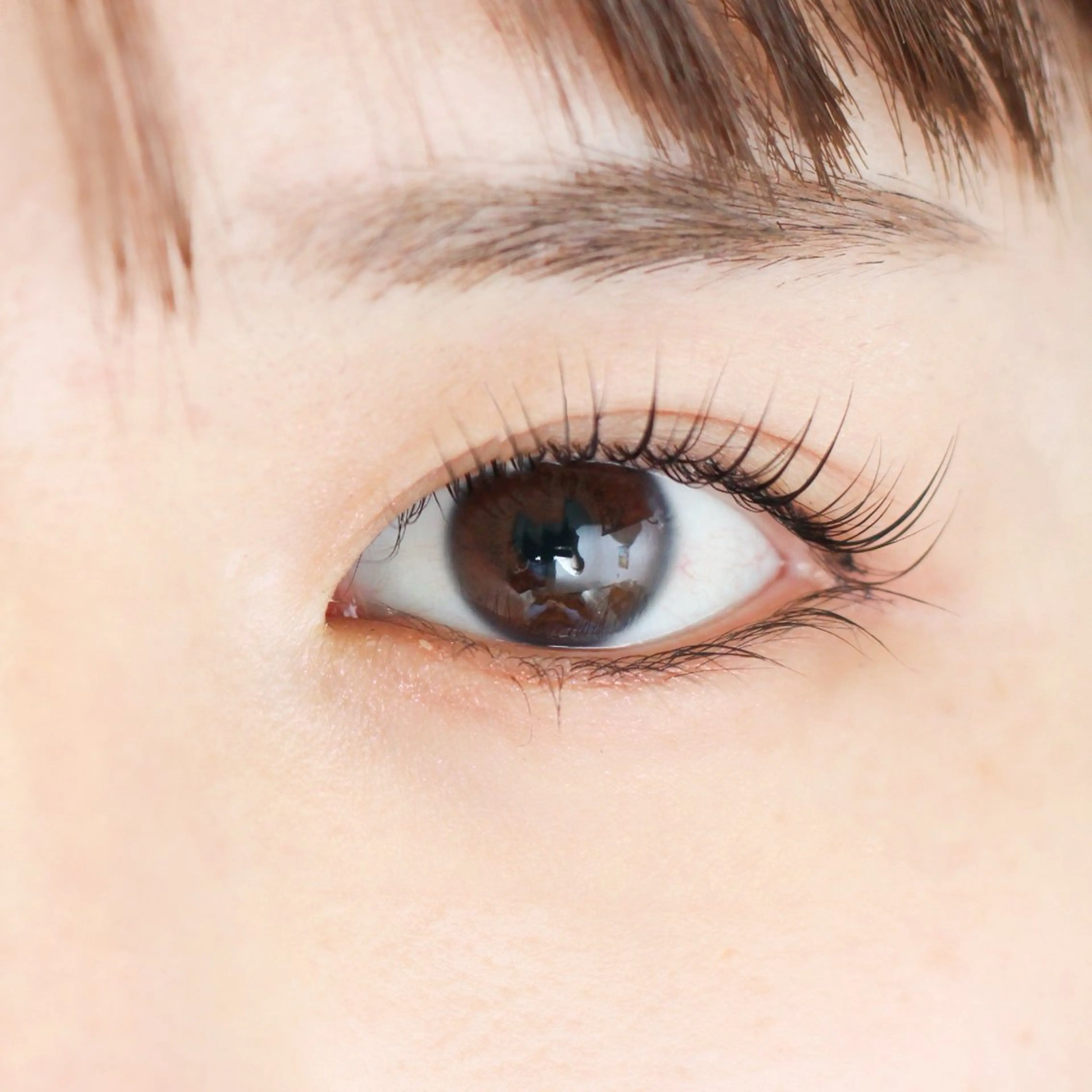 パリジェンヌラッシュリフト✨シャンプー付きの写真