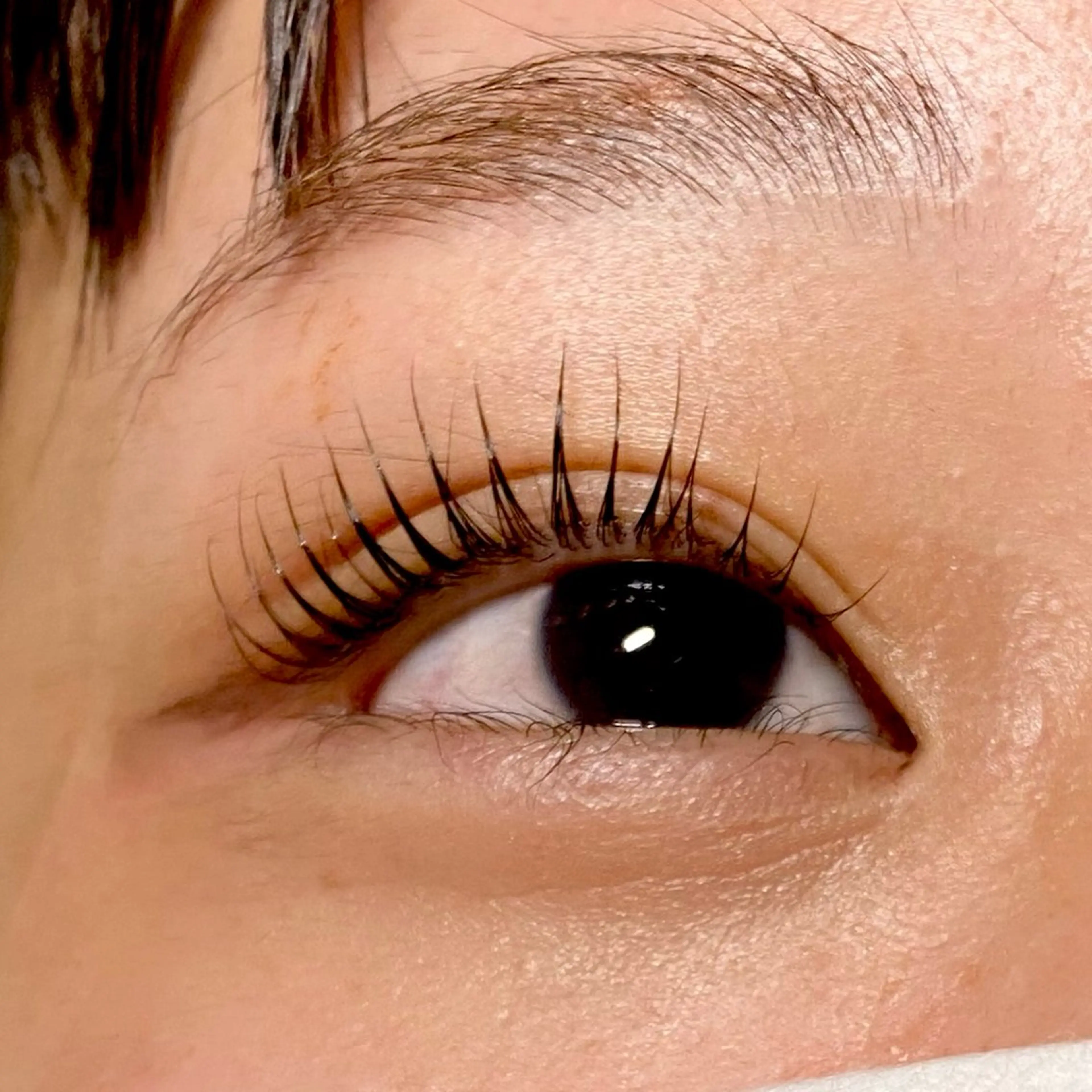 マツエク・マツパ パリジェンヌラッシュリフト エクラート 渡邉のマツエク・マツパデザイン