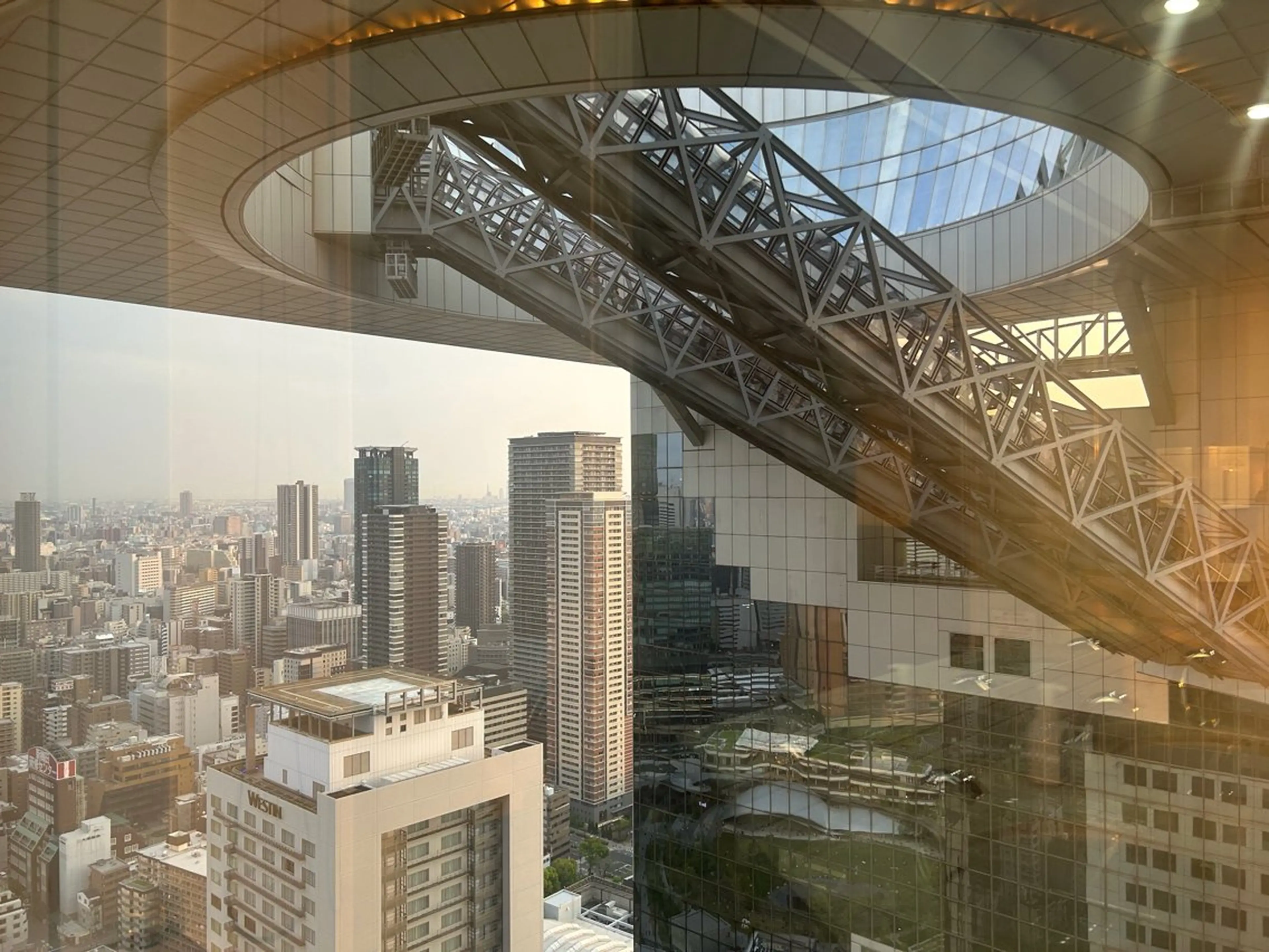 その他 バストアップ専門 おっぱい先生いそのその他イメージ