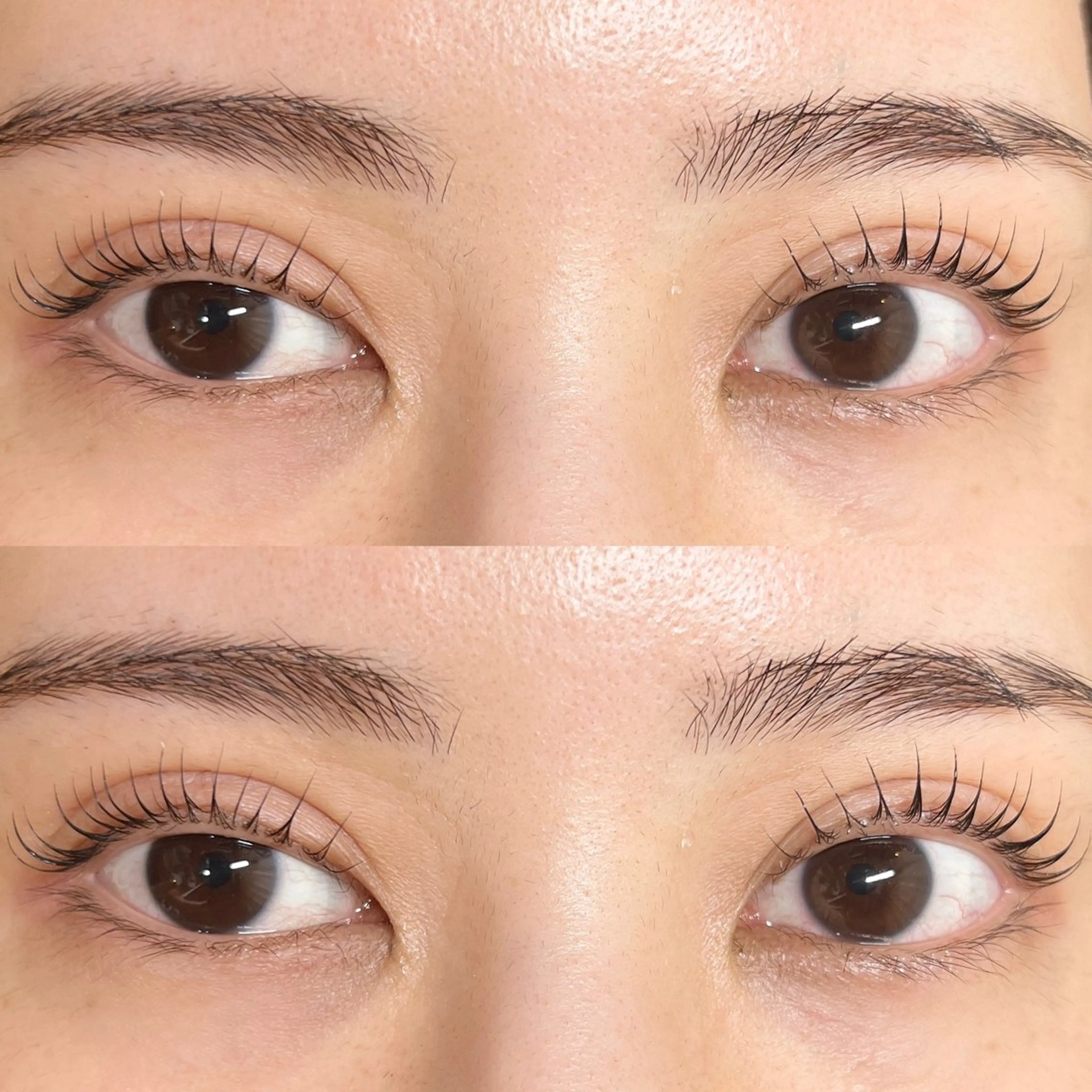 マツエク・マツパ マティーニ恵比寿×ロコラッシュ所属・🩷 AYAKAの眉毛・アイブロウイメージ