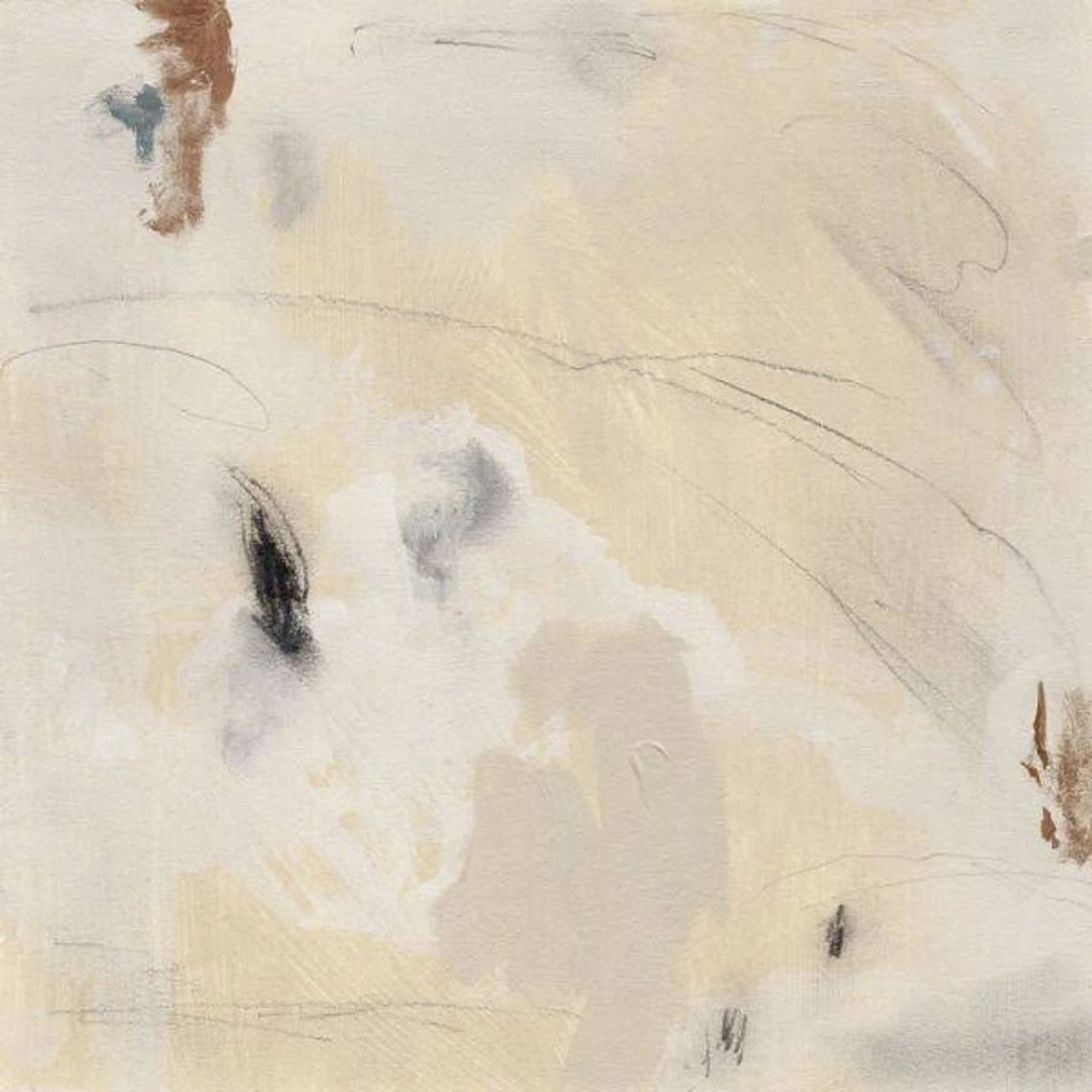 cuticle careの写真