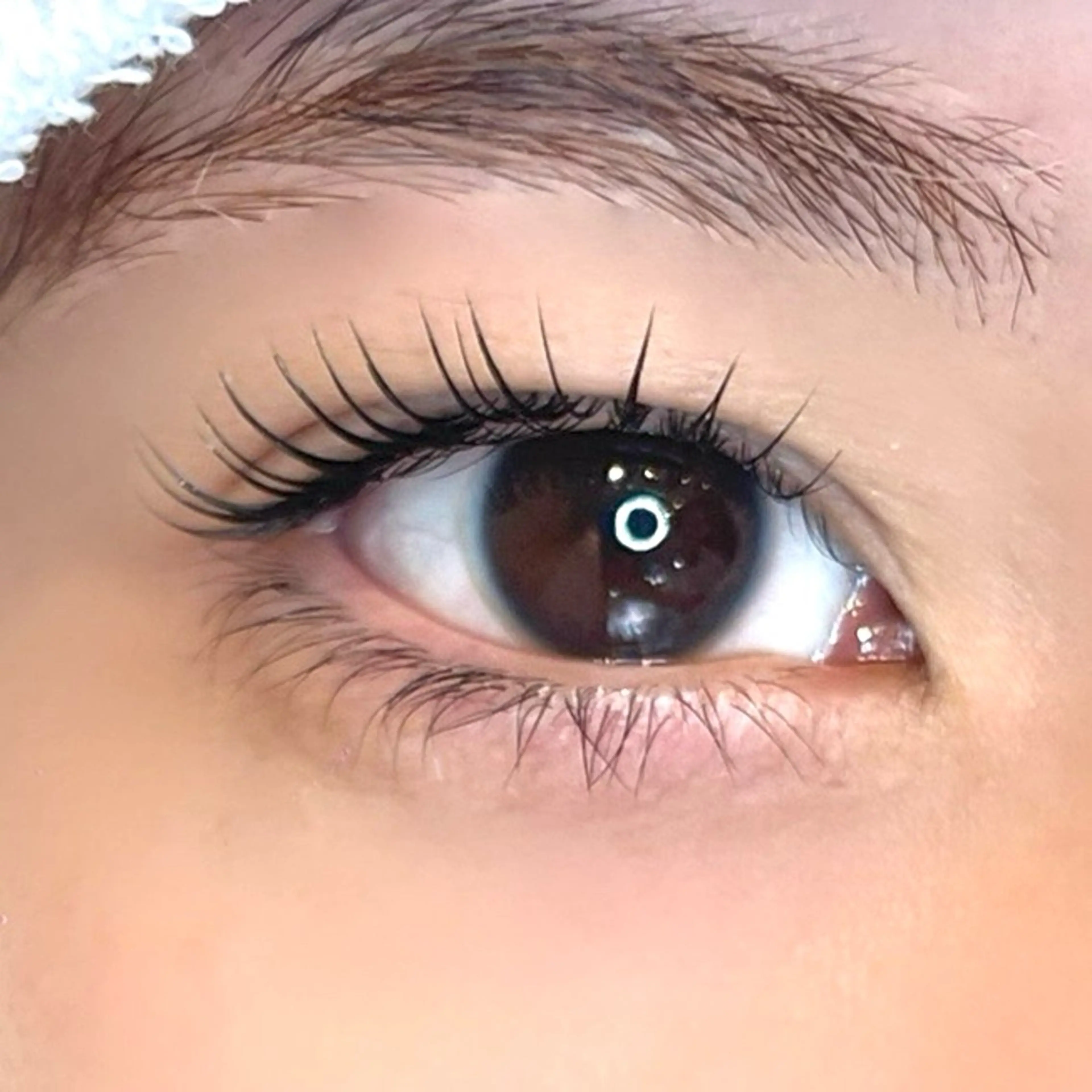 マツエク・マツパ マツパ メゾンドシャルム NISHIKAWAのマツエク・マツパデザイン