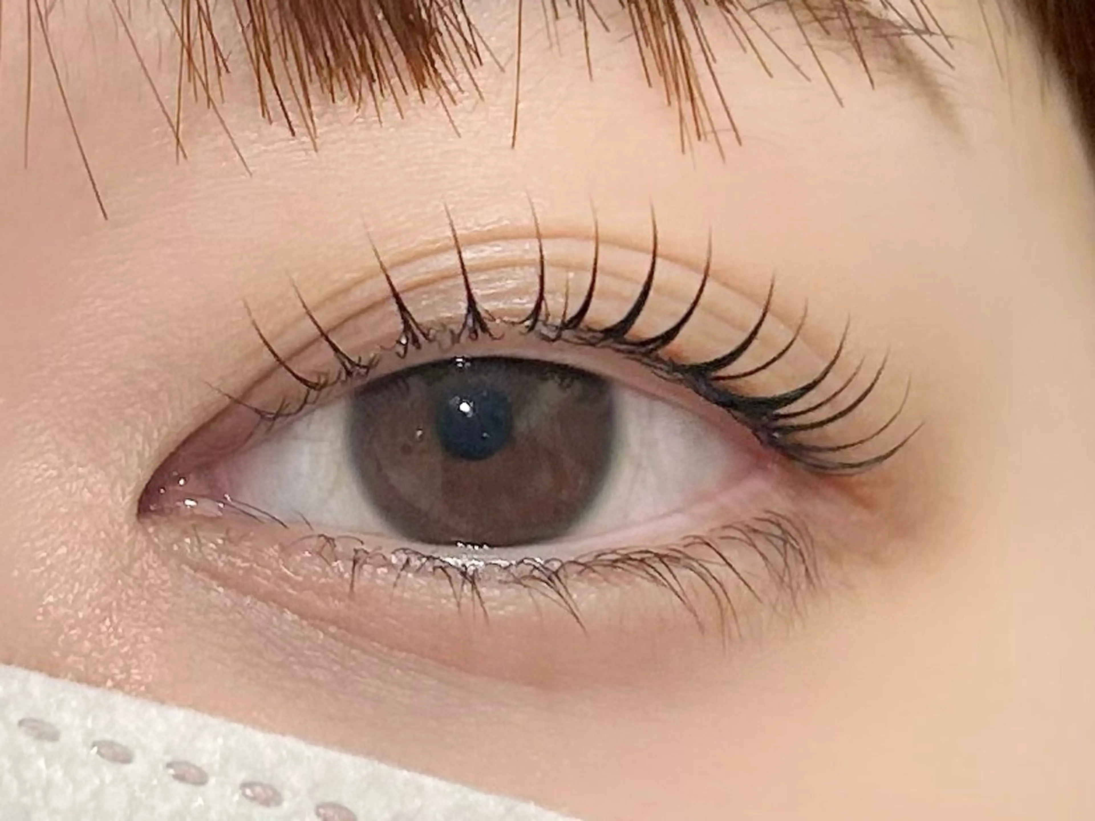 minimo限定価格❣️まつ毛パーマ(カールデザイン)の写真